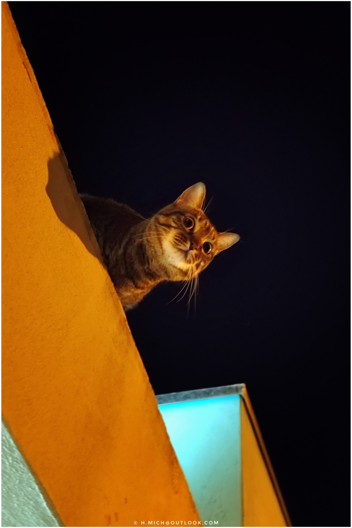 cadê meu amor?