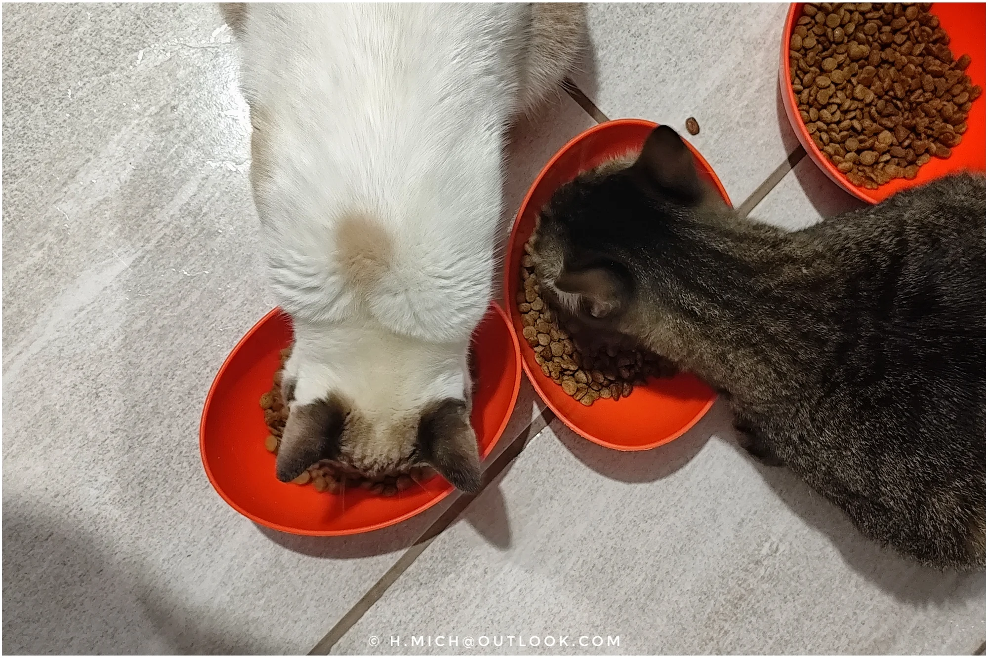 Photo Studio-One Repo (c)h.Mich@outlook.com