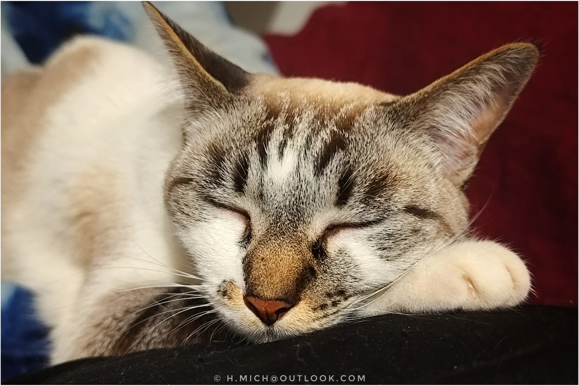 Photo Studio-One Repo (c)h.Mich@outlook.com