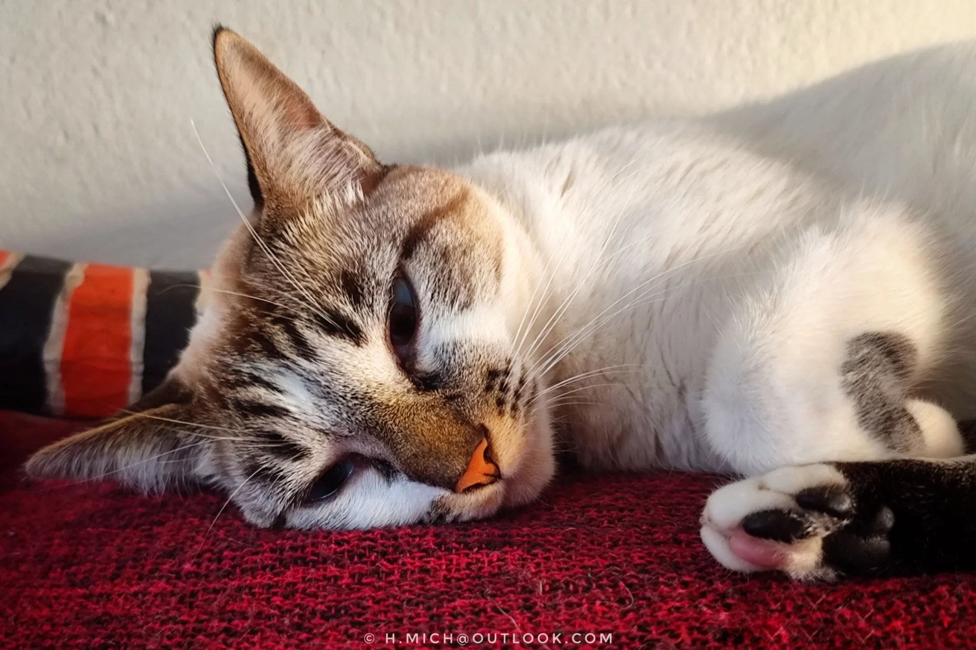 Photo Studio-One Repo (c)h.Mich@outlook.com