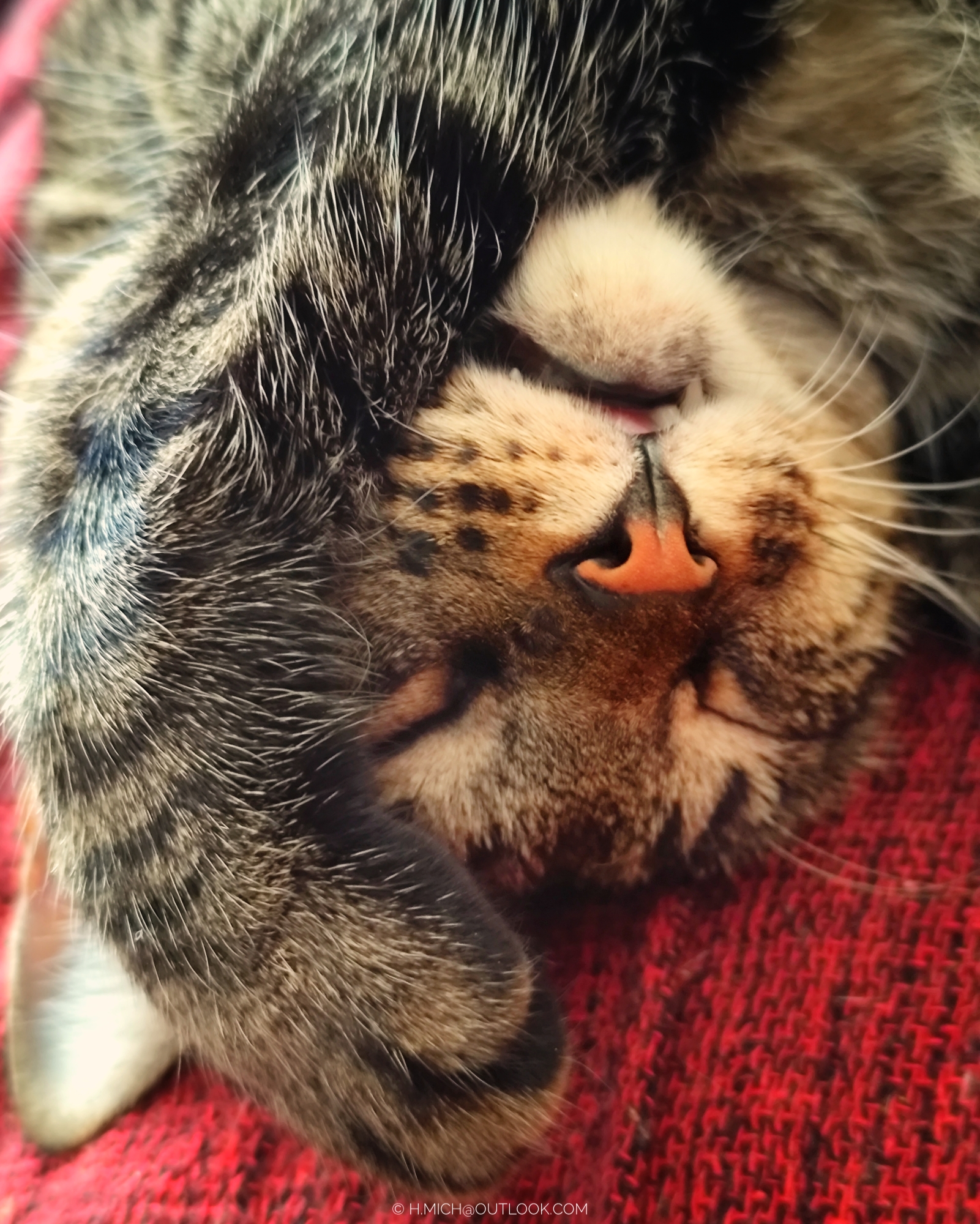 muita luz, muito frio …