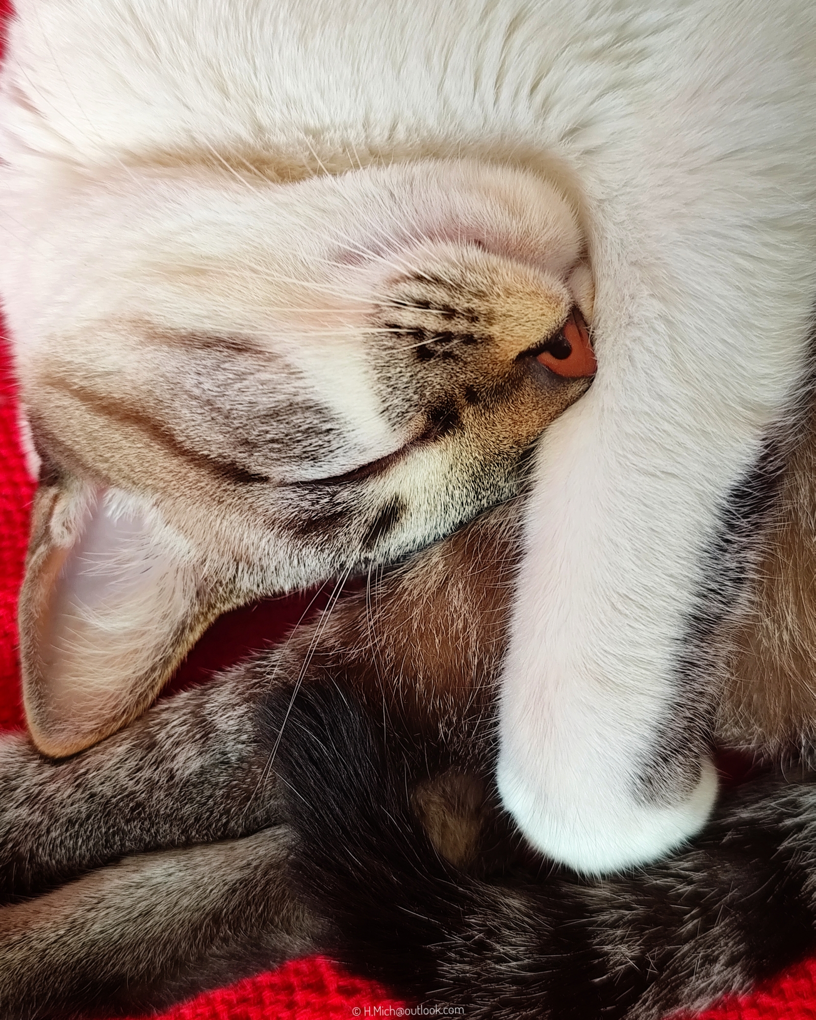 hibernação … na minha vaga grrrhh
