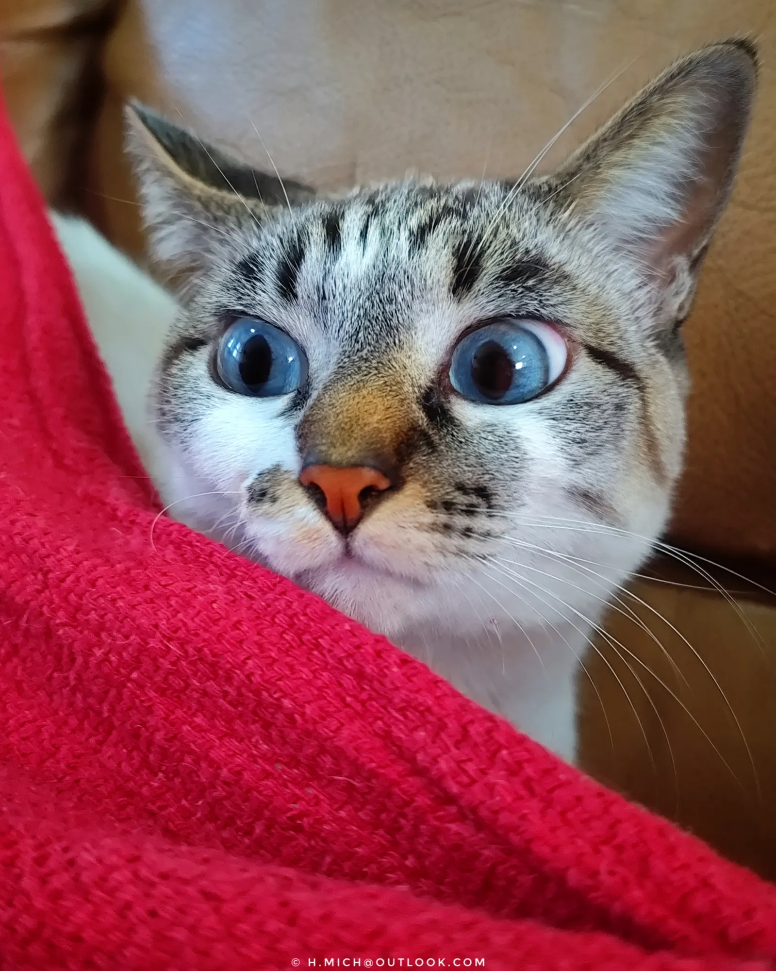 Photo Studio-One Repo (c)h.Mich@outlook.com