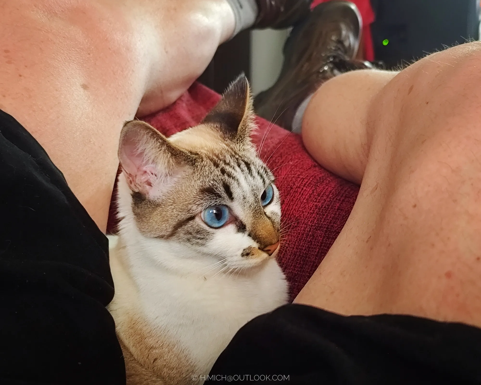 Photo Studio-One Repo (c)h.Mich@outlook.com