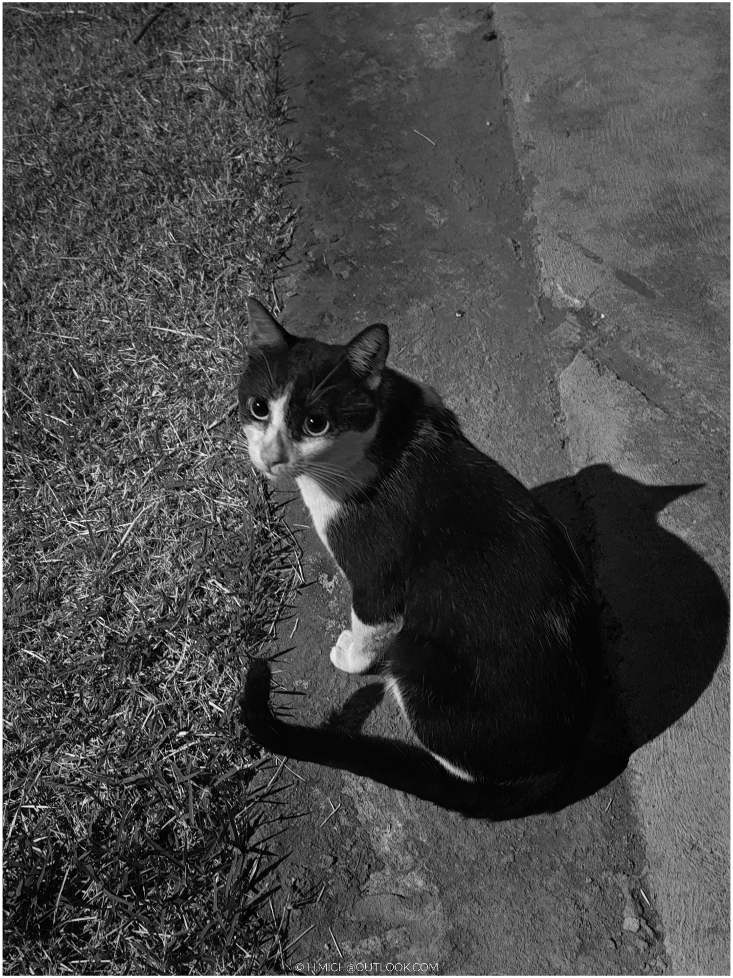 Ensaios e Fotografia Profissional em Rio Preto SP/Brasil