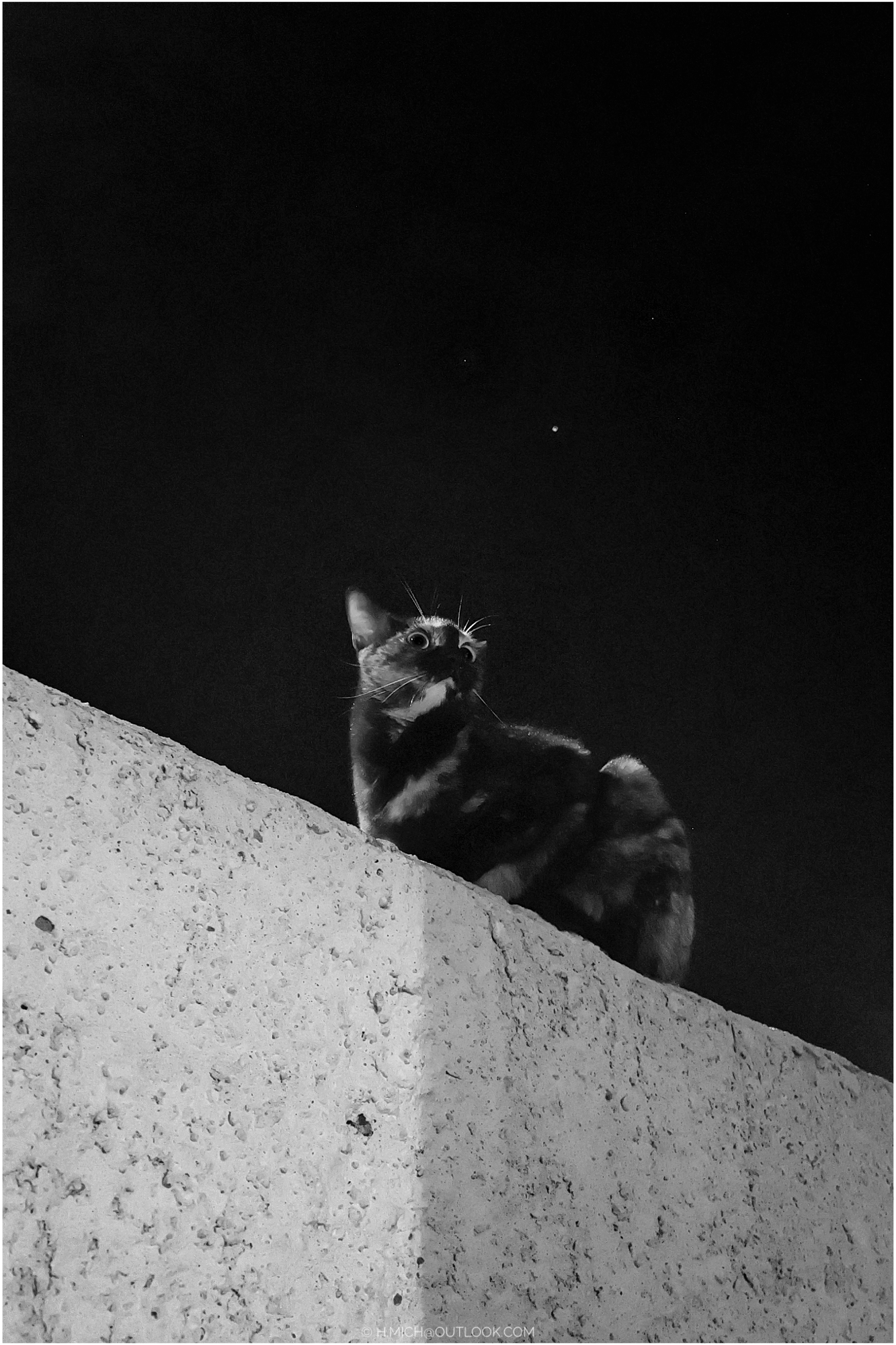 olhar para cima …