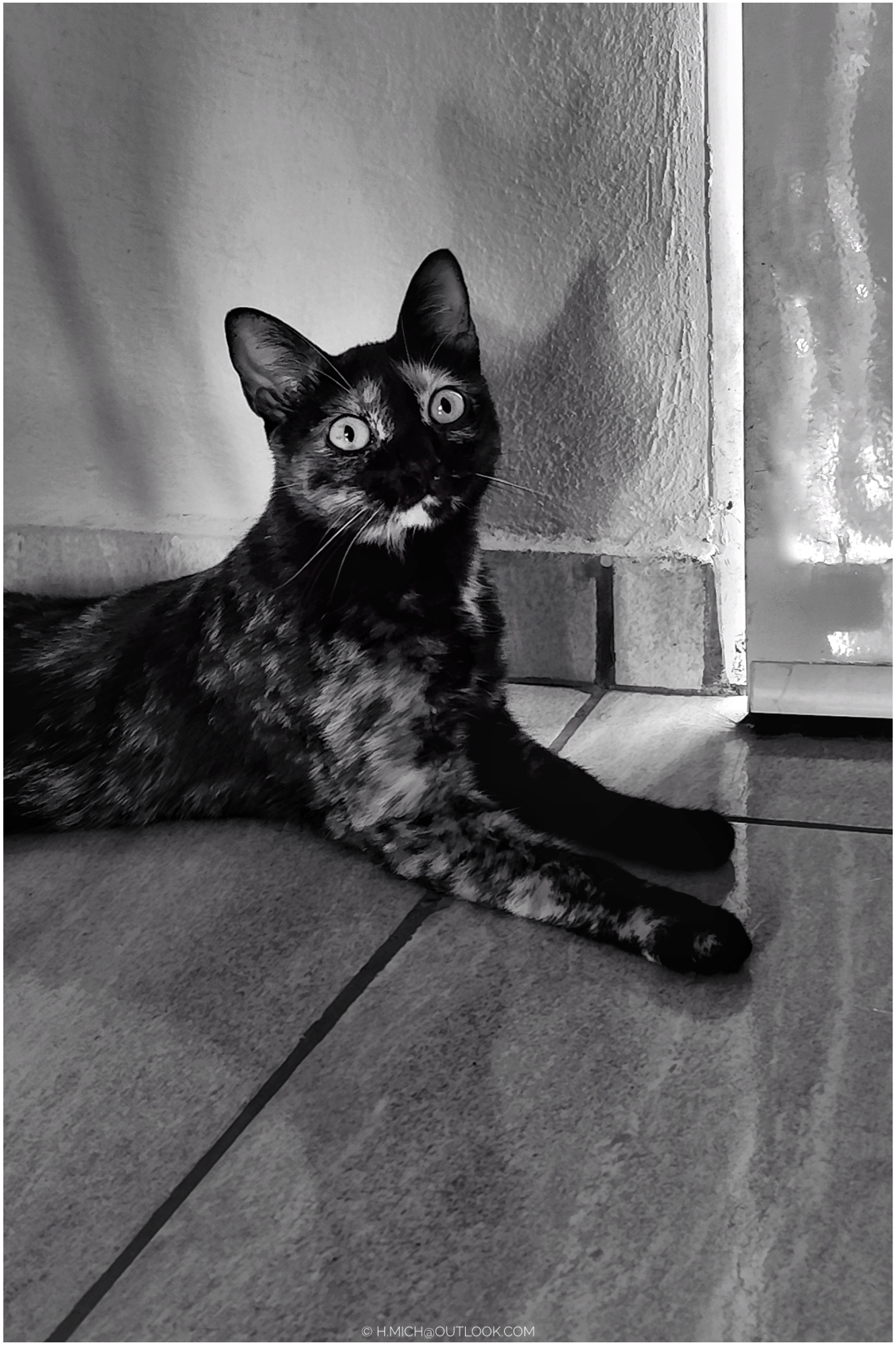 bom dia tatu :)
