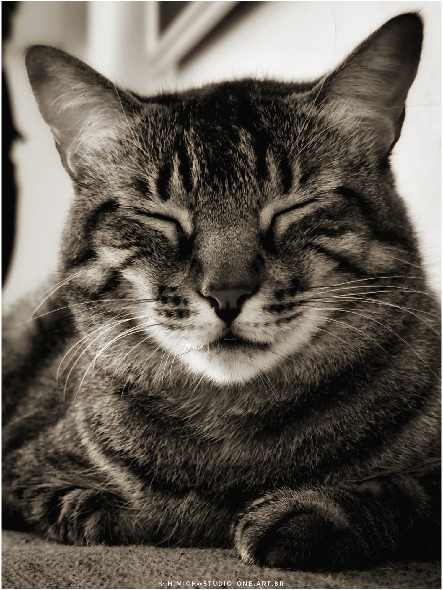 Photo Studio-One Repo (c)h.Mich@outlook.com