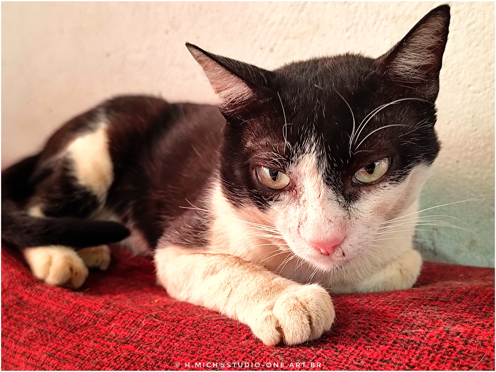 Ensaios e Fotografia Profissional em Rio Preto SP/Brasil