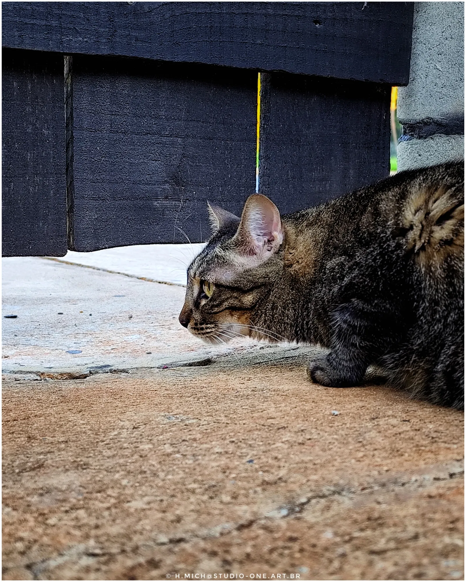 Photo Studio-One Repo (c)h.Mich@outlook.com