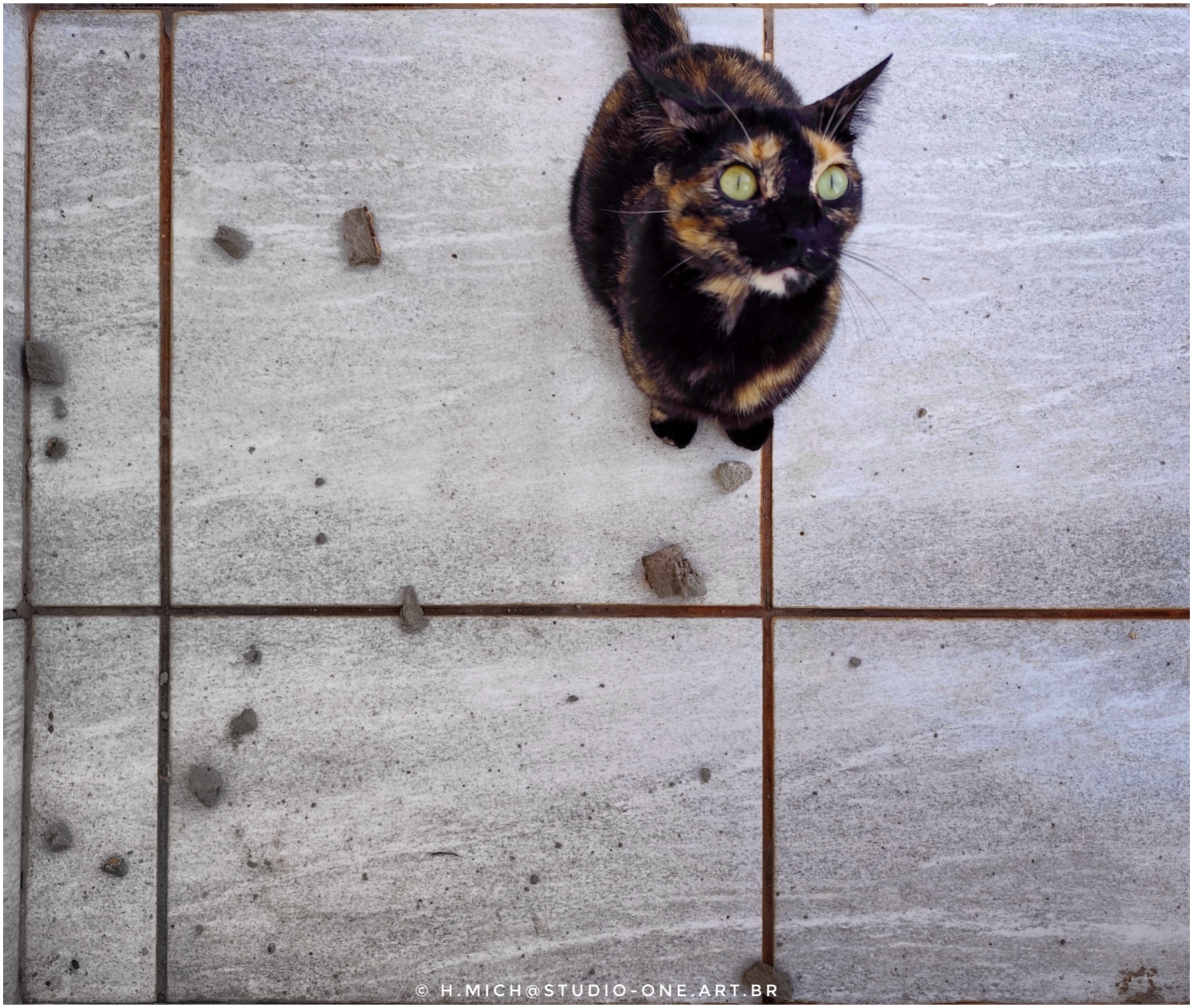 Ensaios e Fotografia Profissional em Rio Preto SP/Brasil