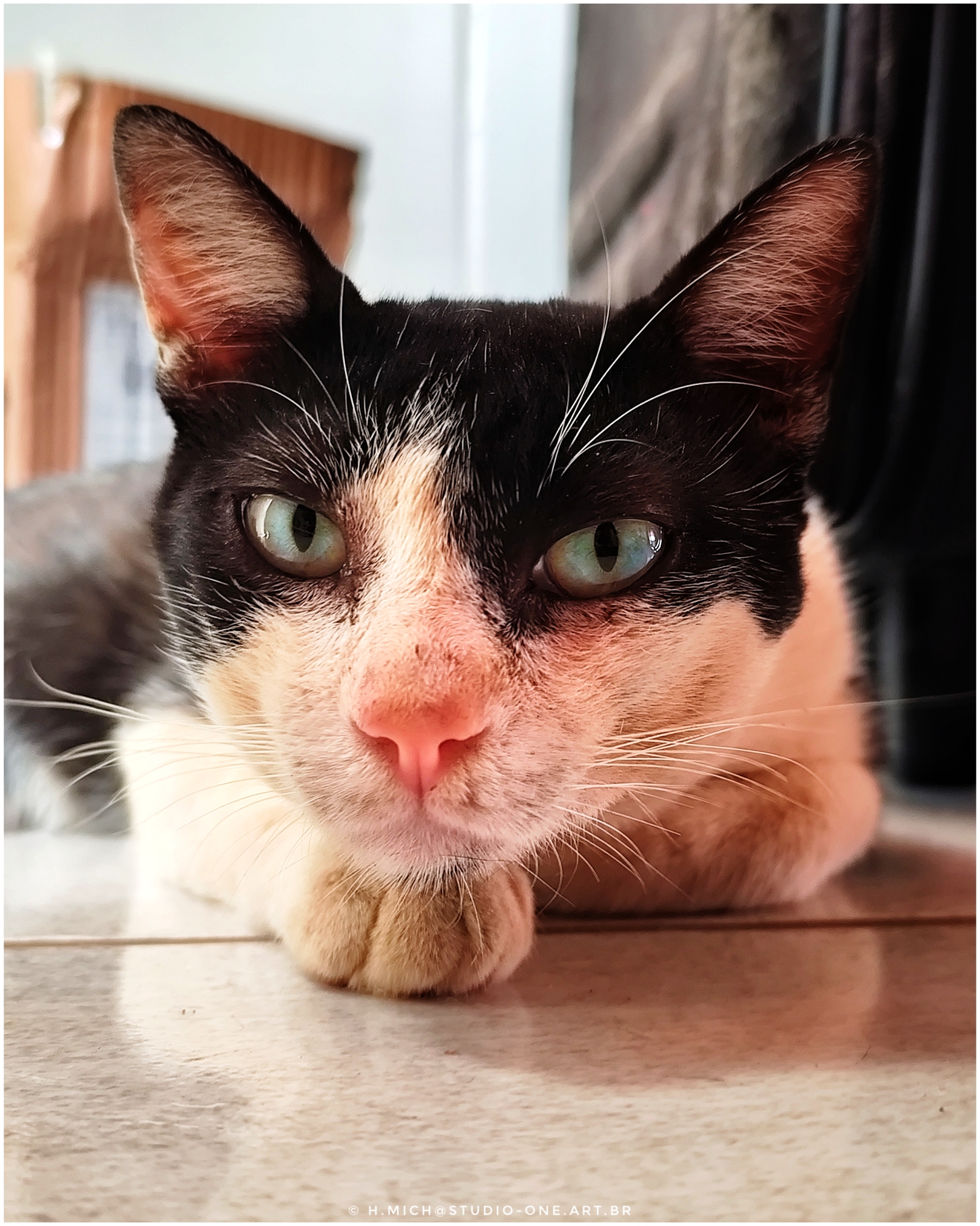 Ensaios e Fotografia Profissional em Rio Preto SP/Brasil