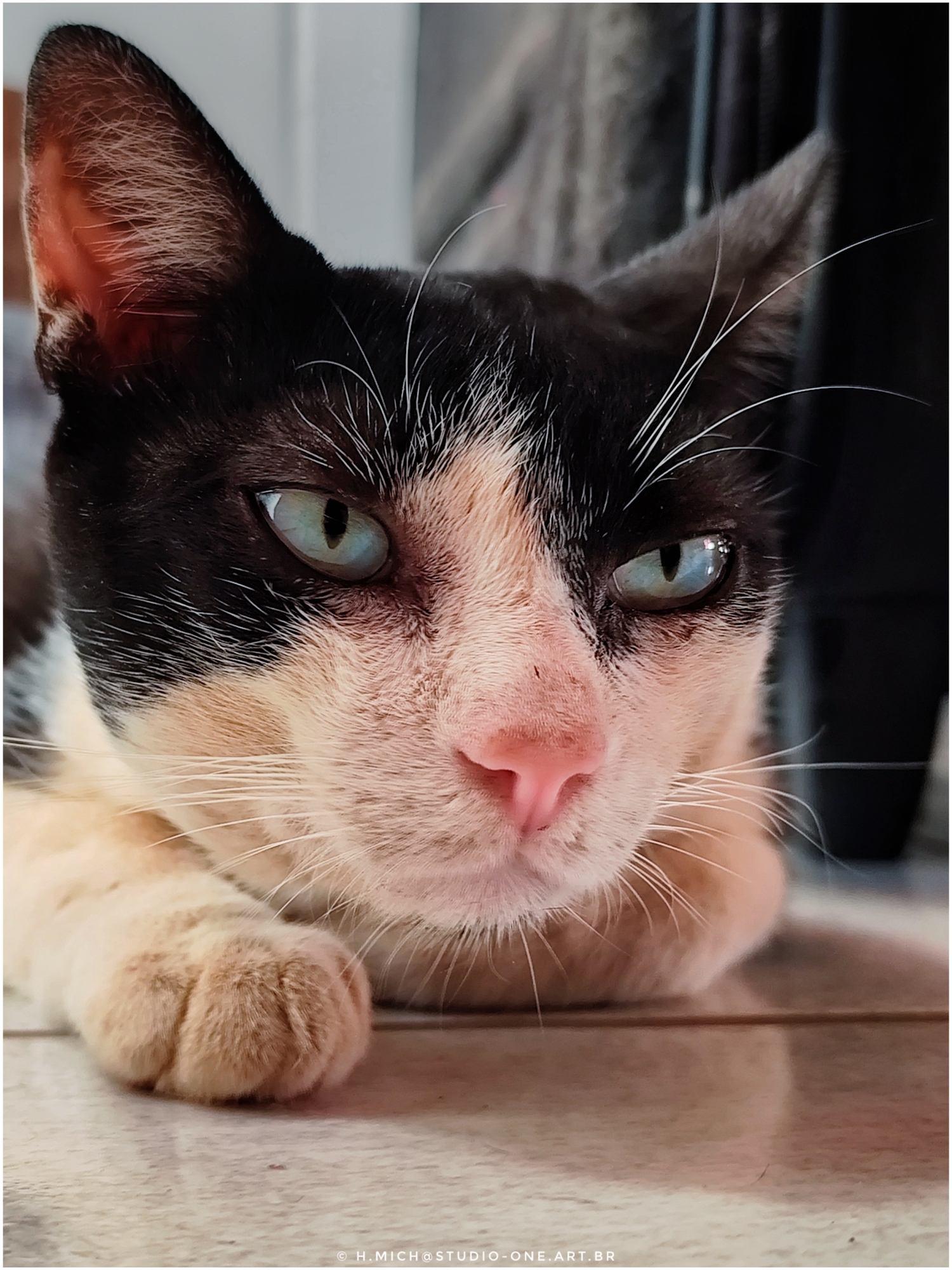 Ensaios e Fotografia Profissional em Rio Preto SP/Brasil