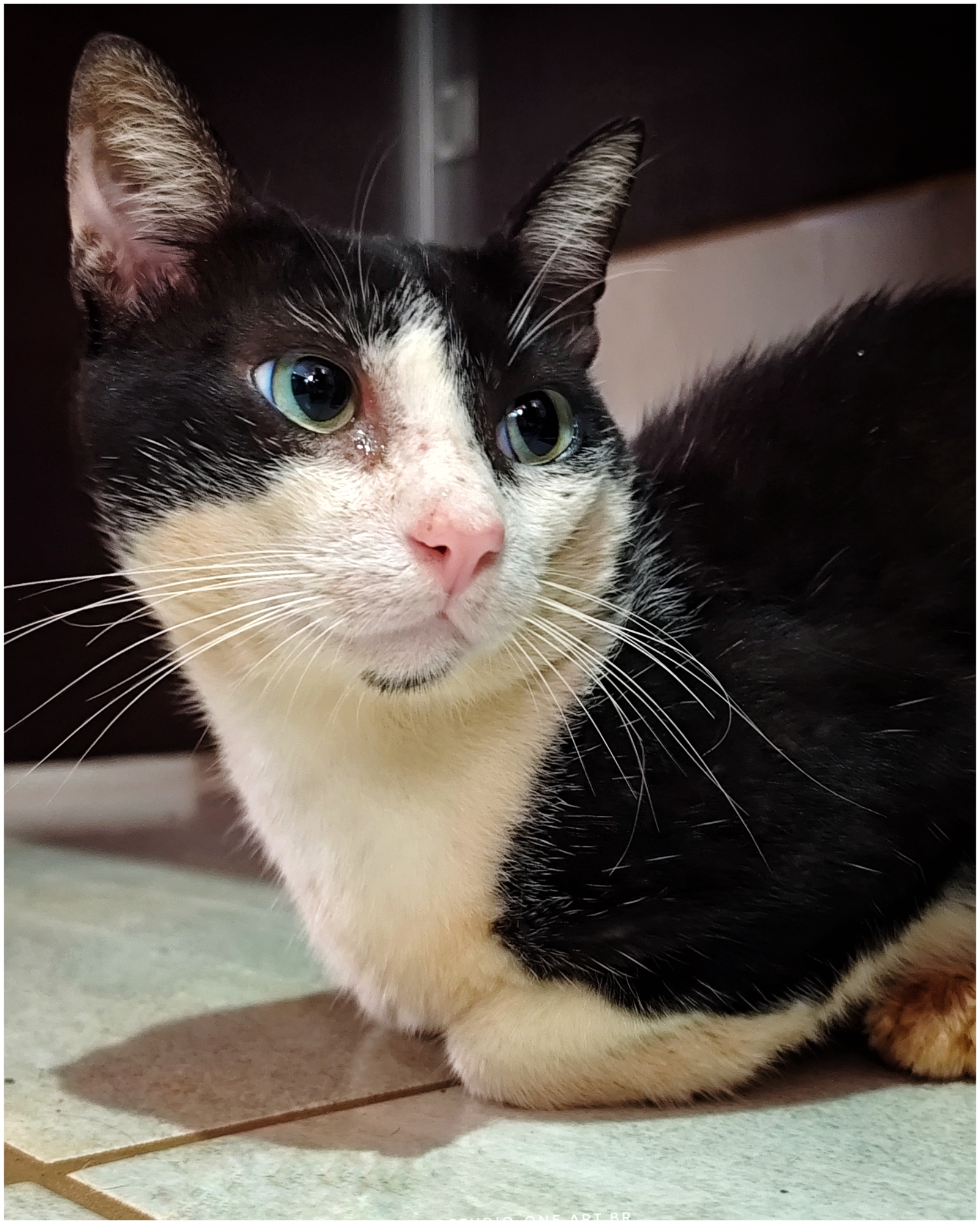 Ensaios e Fotografia Profissional em Rio Preto SP/Brasil