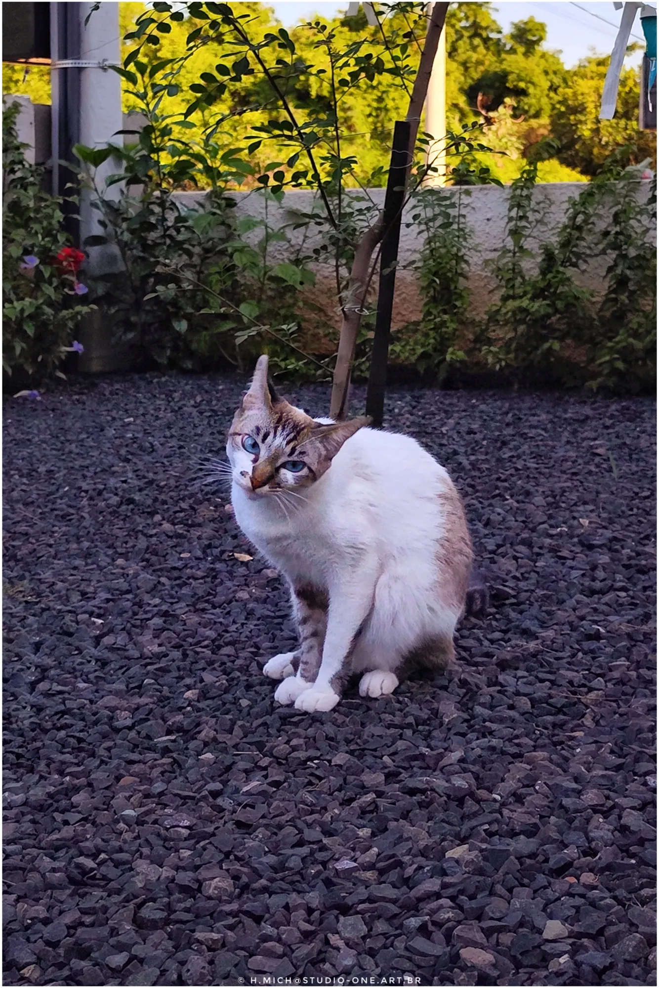 Photo Studio-One Repo (c)h.Mich@outlook.com