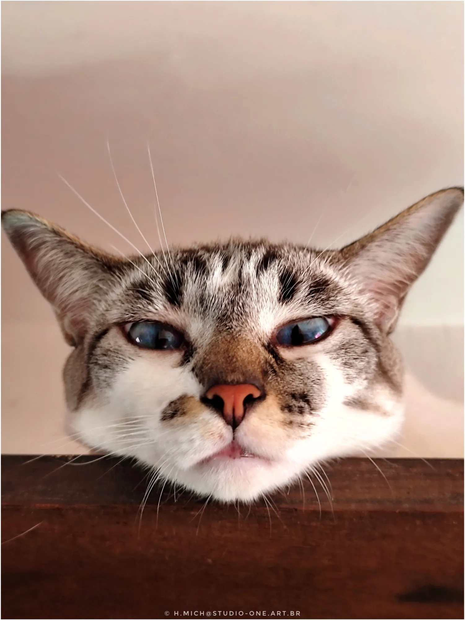 Photo Studio-One Repo (c)h.Mich@outlook.com