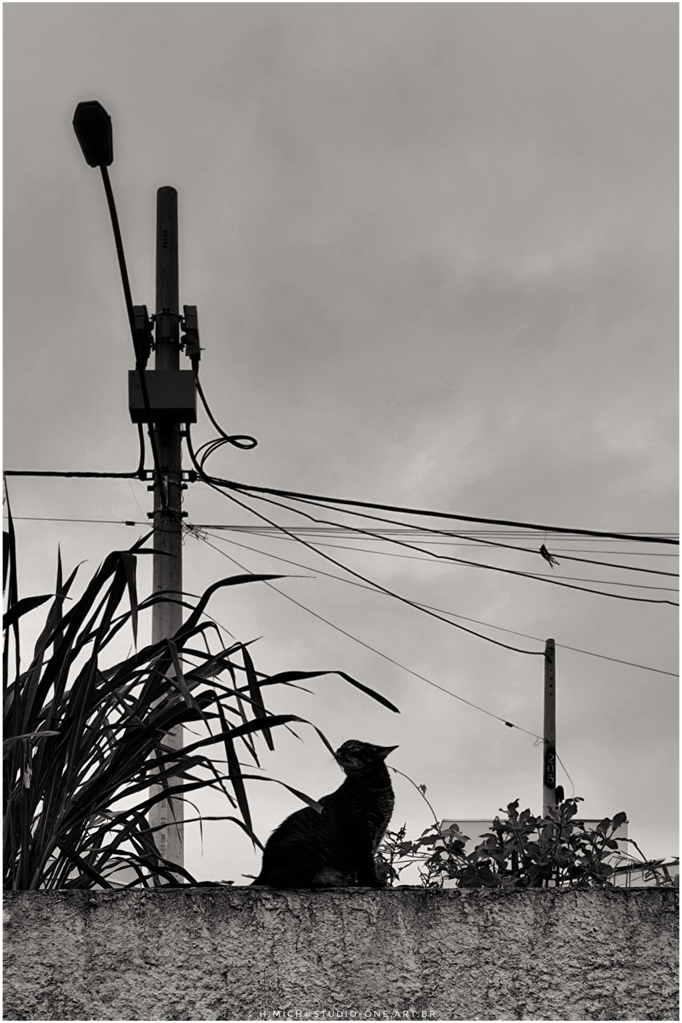 melhor tempo a vista?