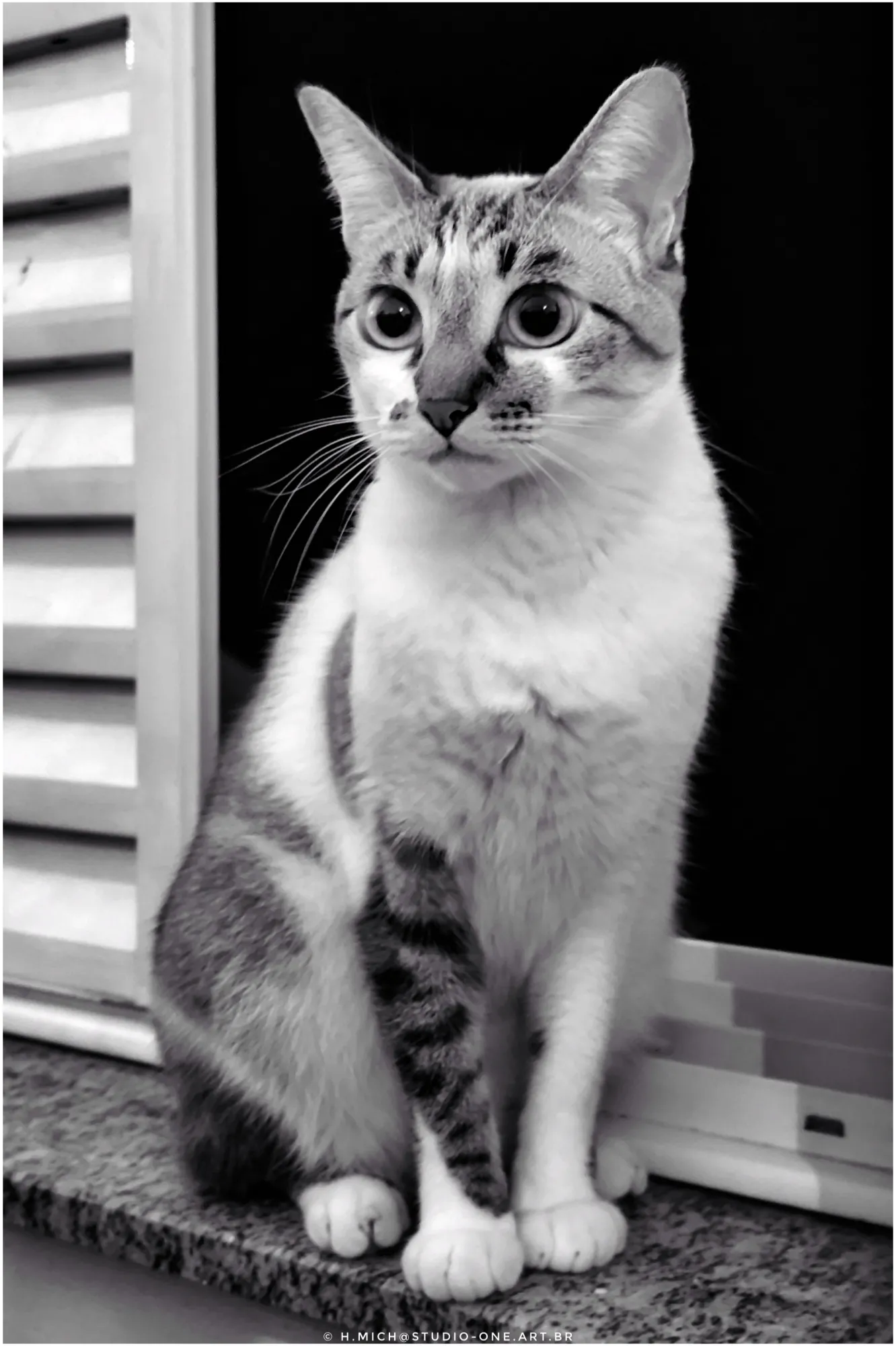 Photo Studio-One Repo (c)h.Mich@outlook.com