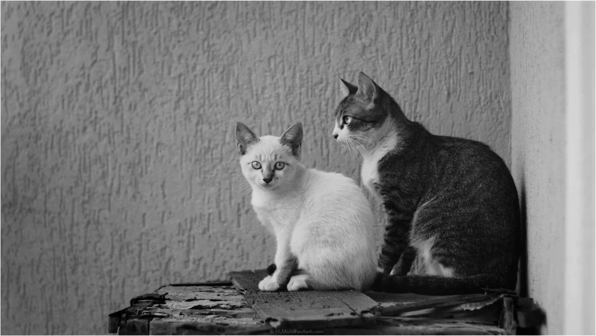 Photo Studio-One Repo (c)h.Mich@outlook.com