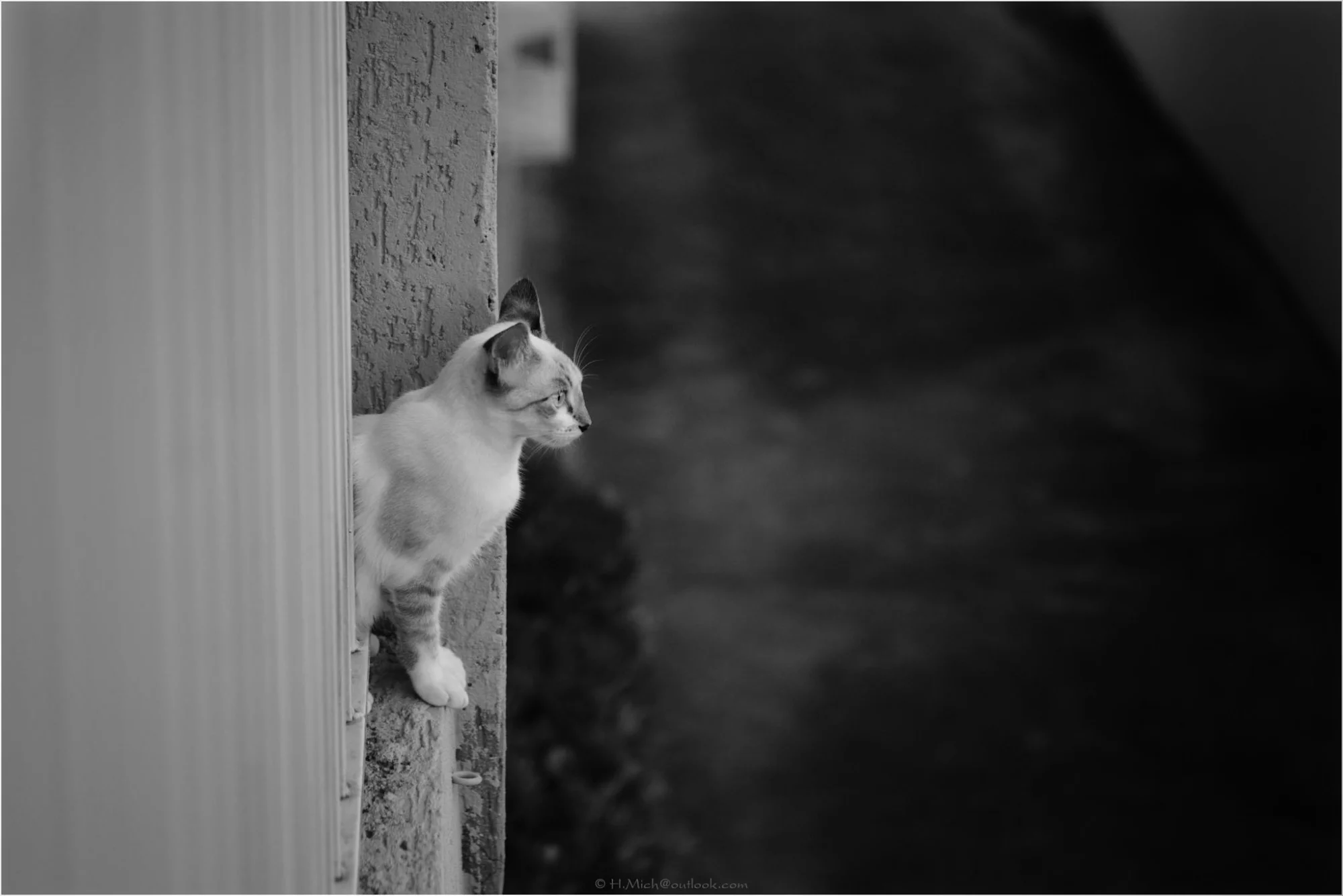 Photo Studio-One Repo (c)h.Mich@outlook.com