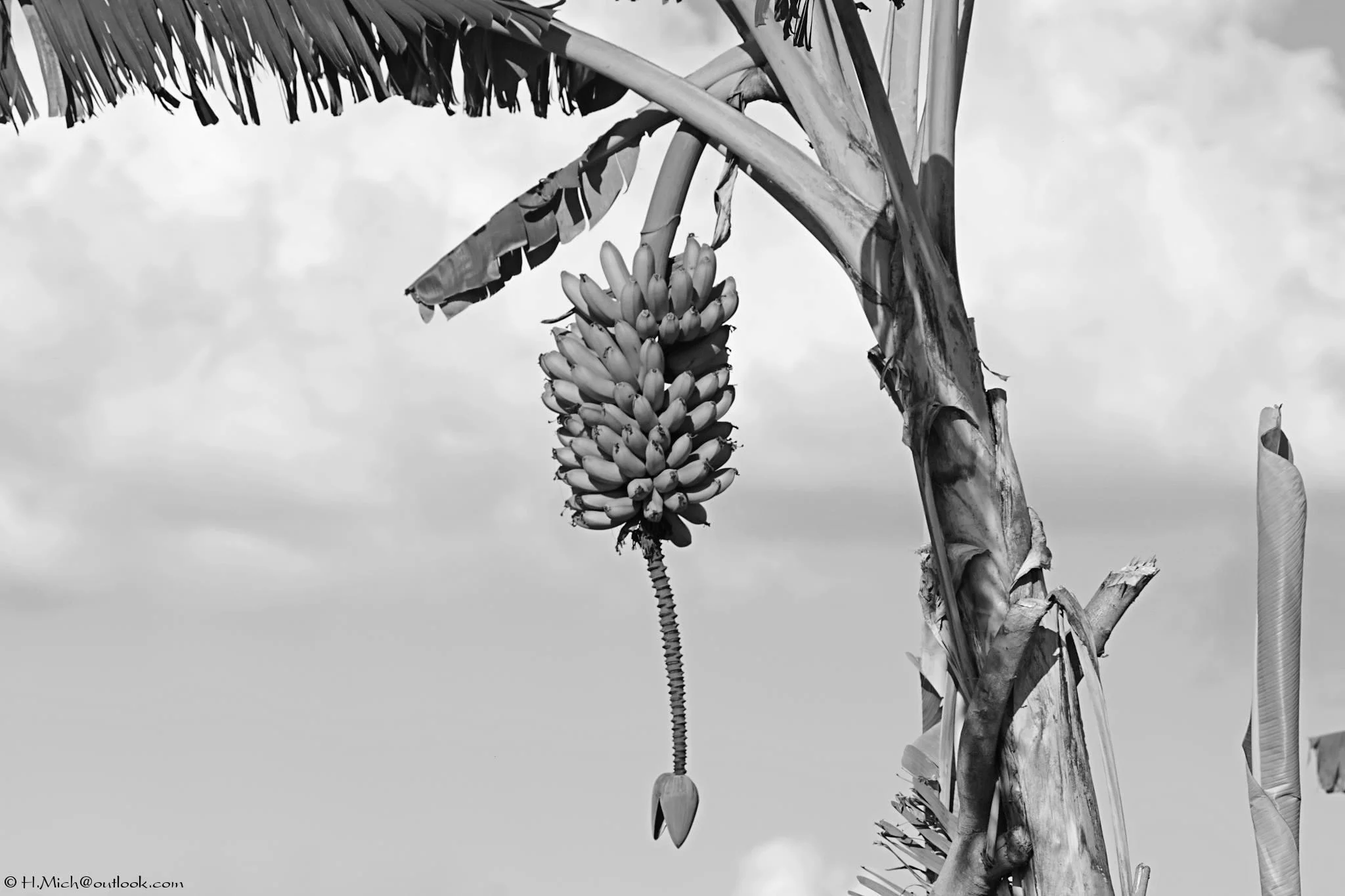 Photo Studio-One Repo (c)h.Mich@outlook.com