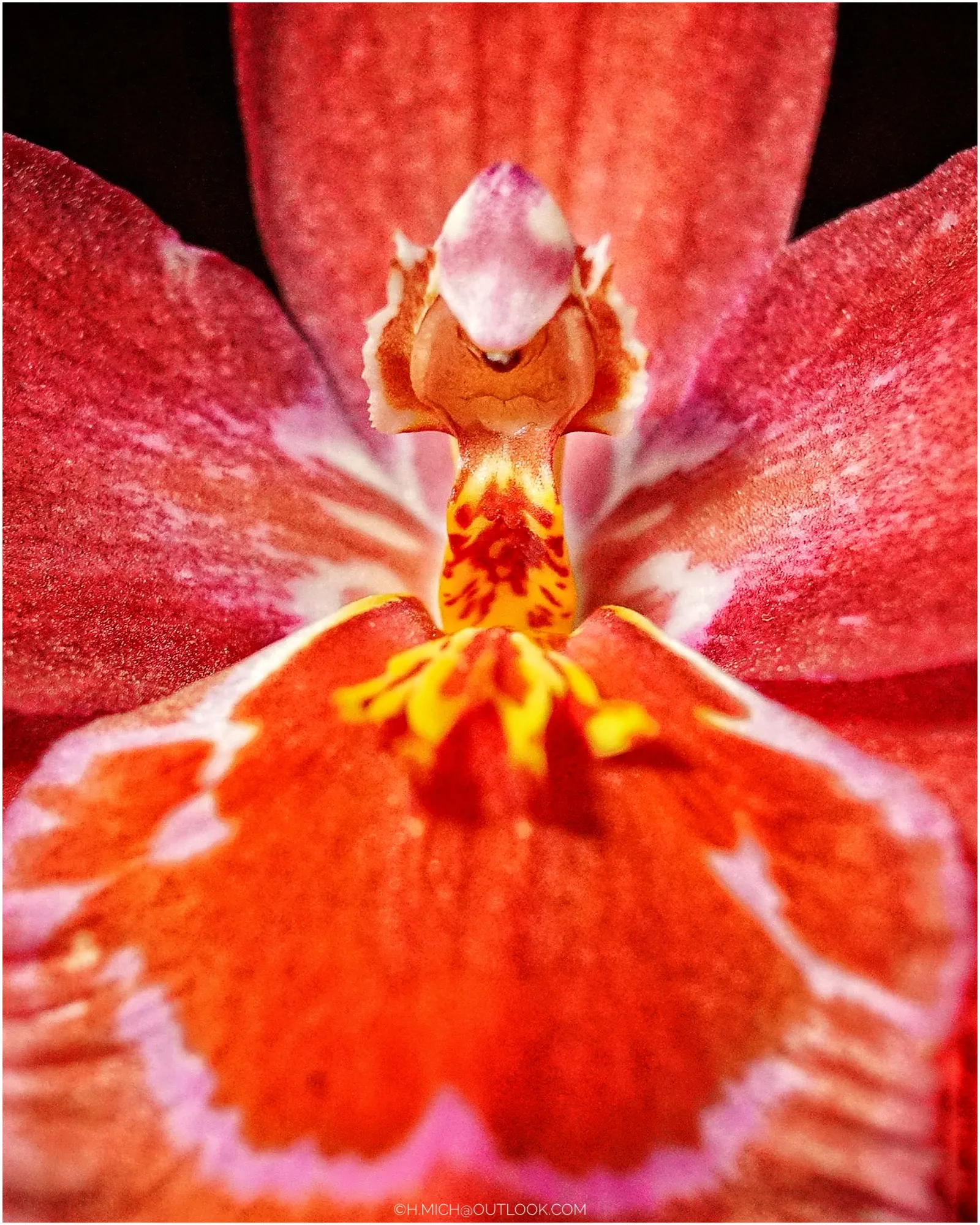 Photo Studio-One Repo (c)h.Mich@outlook.com