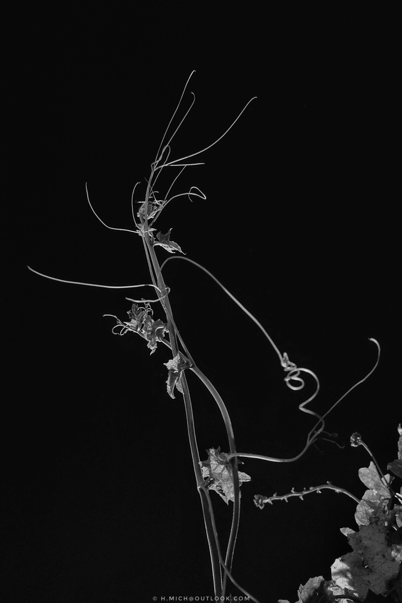 arte noturna …