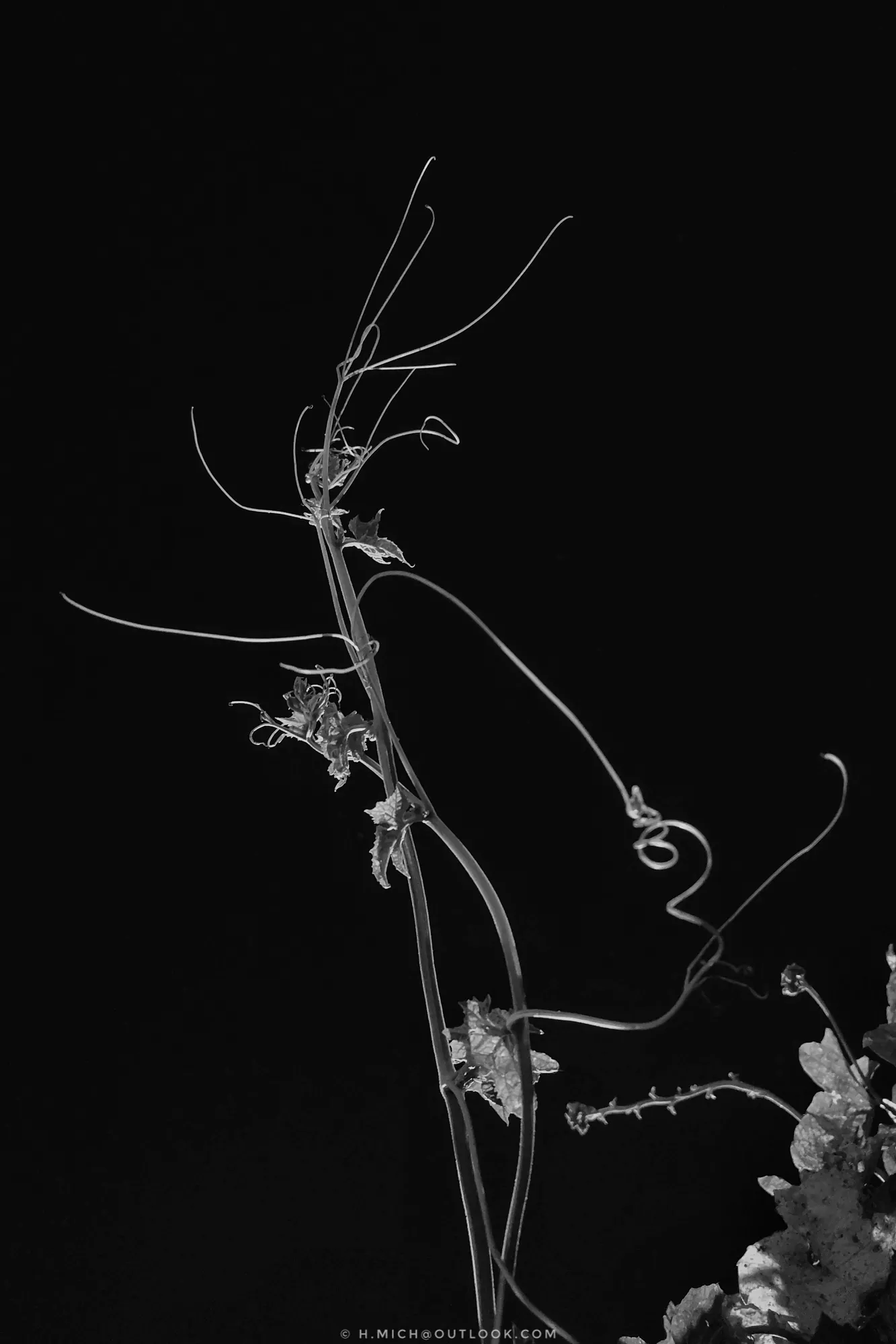 Photo Studio-One Repo (c)h.Mich@outlook.com