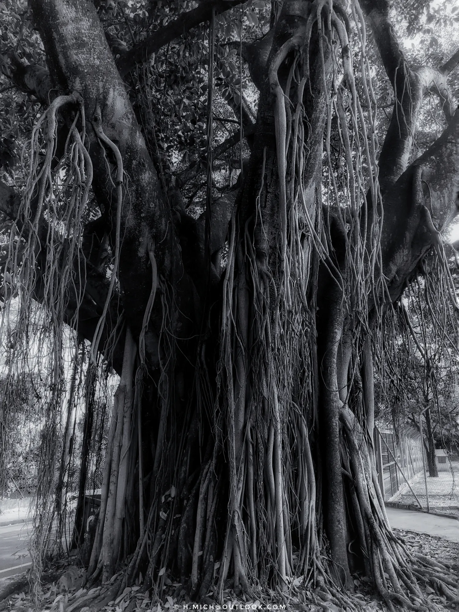 Photo Studio-One Repo (c)h.Mich@outlook.com