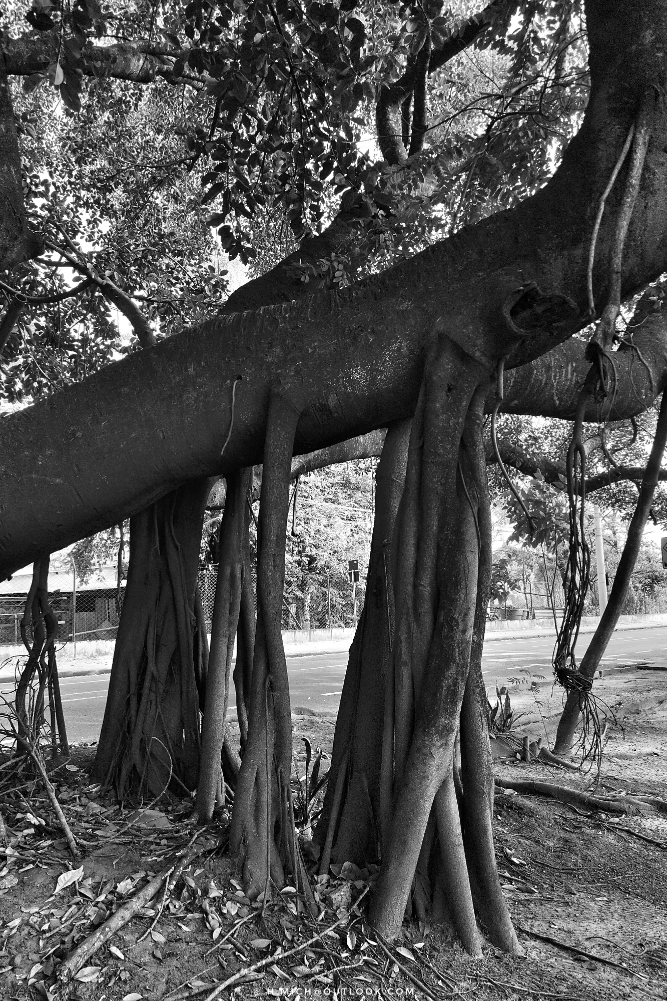 Photo Studio-One Repo (c)h.Mich@outlook.com