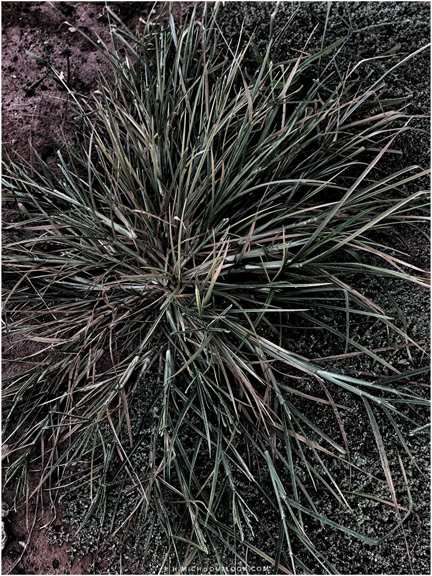 Photo Studio-One Repo (c)h.Mich@outlook.com