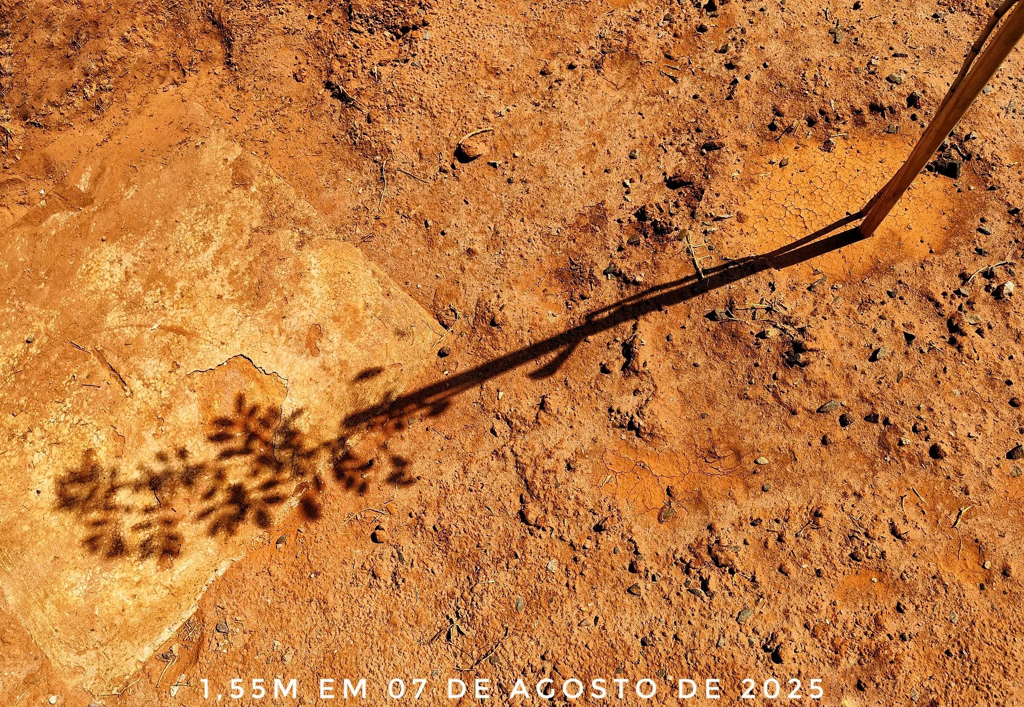 Photo Studio-One Repo (c)h.Mich@outlook.com