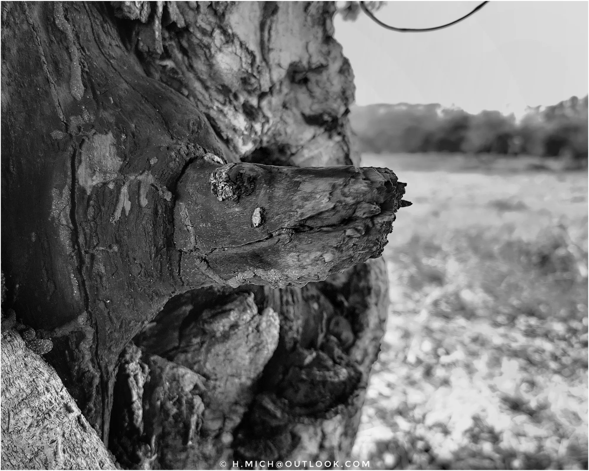 Photo Studio-One Repo (c)h.Mich@outlook.com