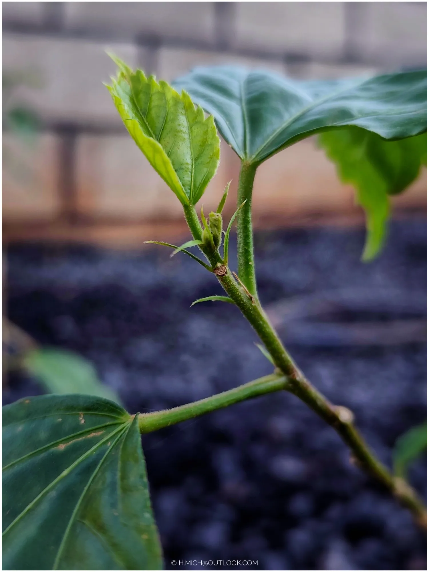 Photo Studio-One Repo (c)h.Mich@outlook.com