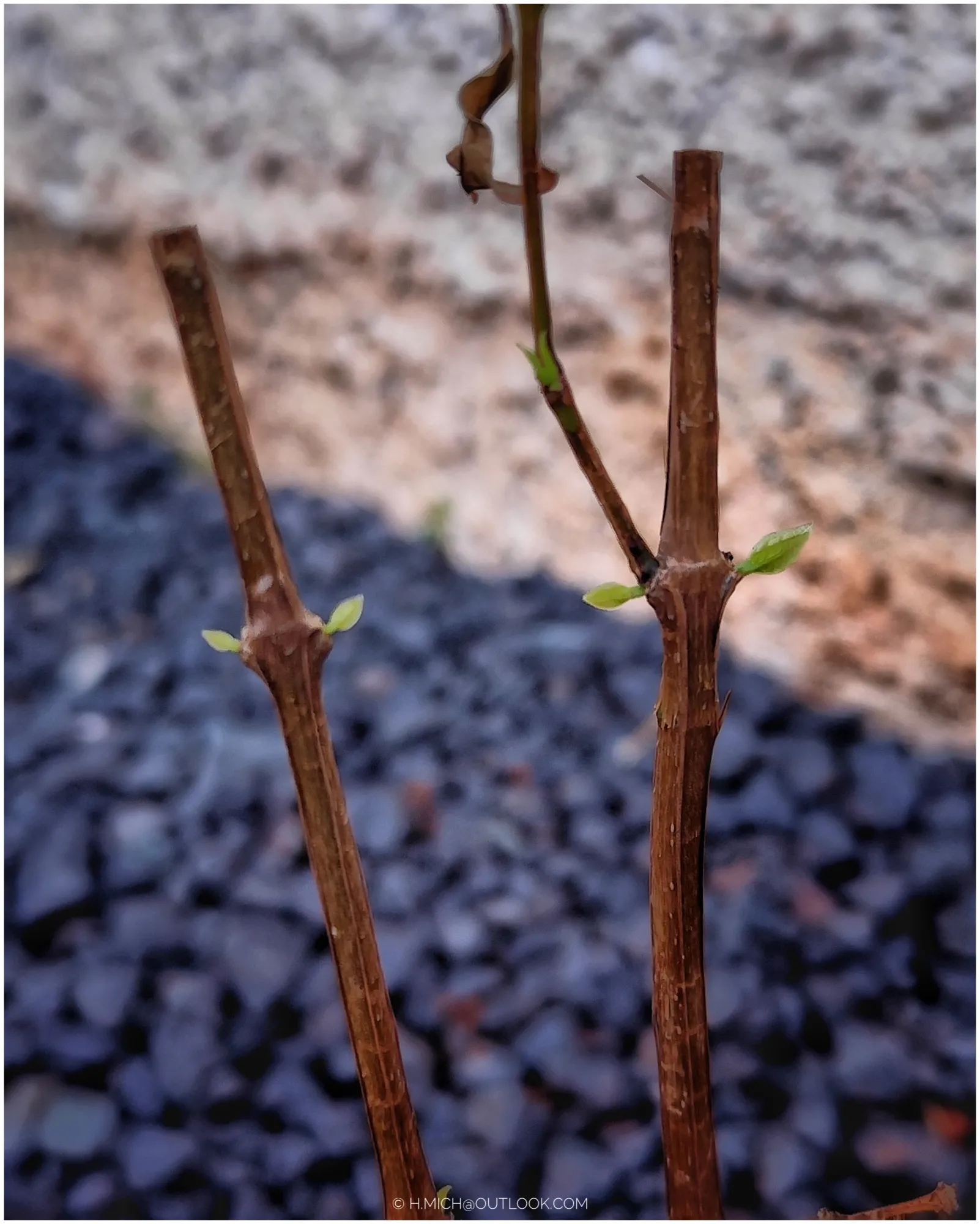 Photo Studio-One Repo (c)h.Mich@outlook.com