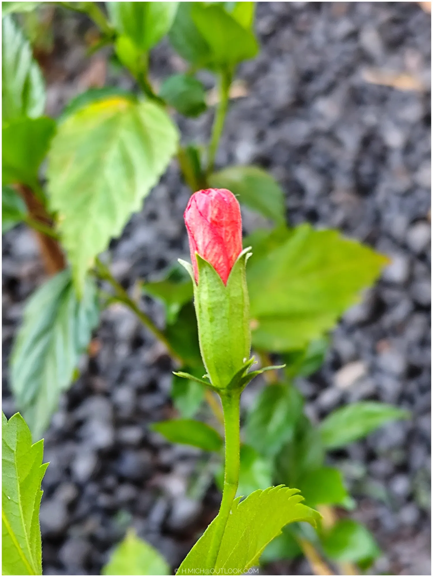 Photo Studio-One Repo (c)h.Mich@outlook.com