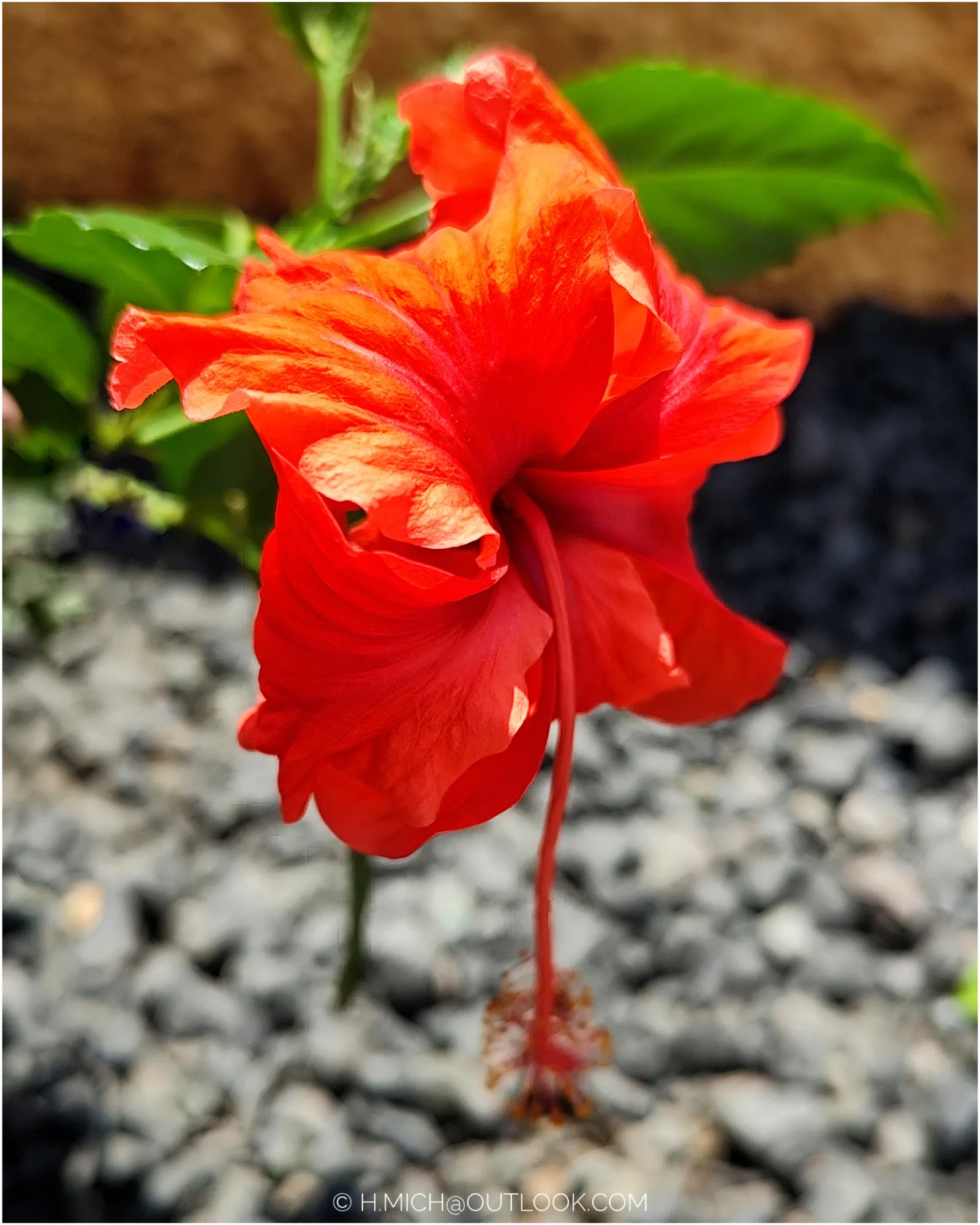 Photo Studio-One Repo (c)h.Mich@outlook.com