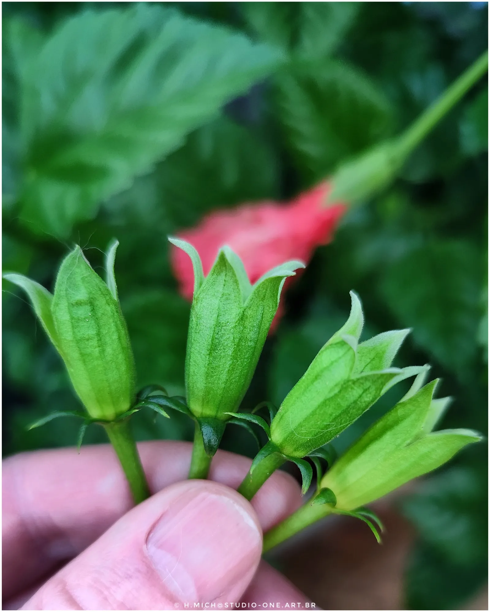 Photo Studio-One Repo (c)h.Mich@outlook.com