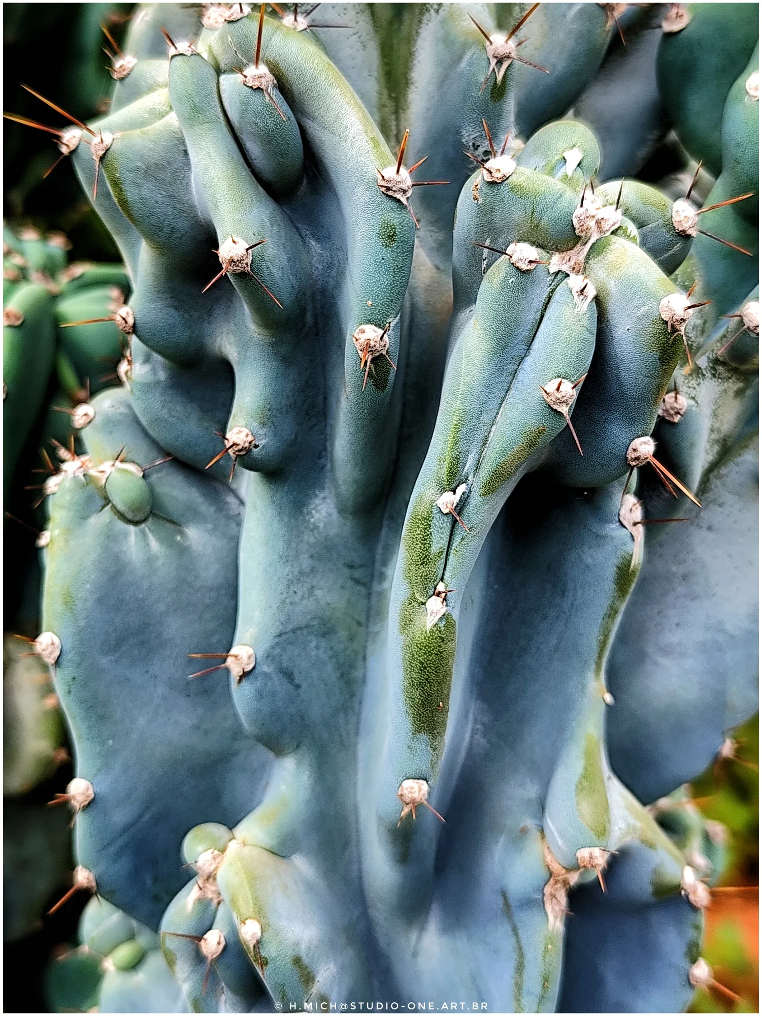 Photo Studio-One Repo (c)h.Mich@outlook.com