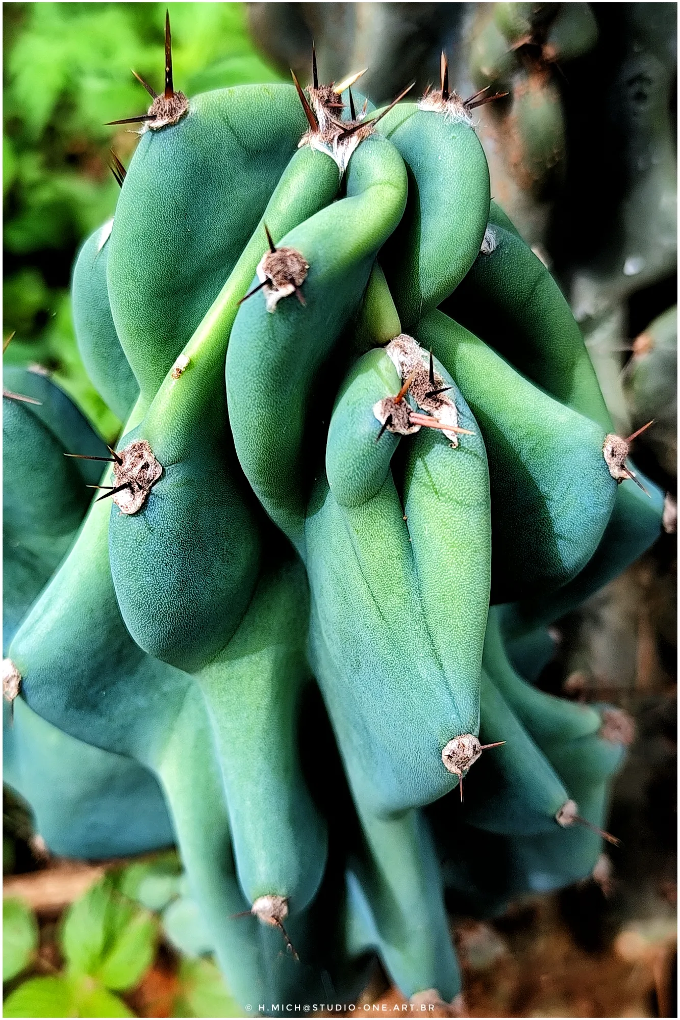 Photo Studio-One Repo (c)h.Mich@outlook.com