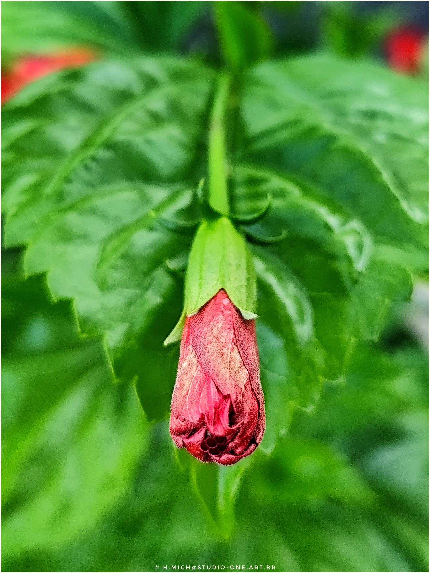 progresso silencioso