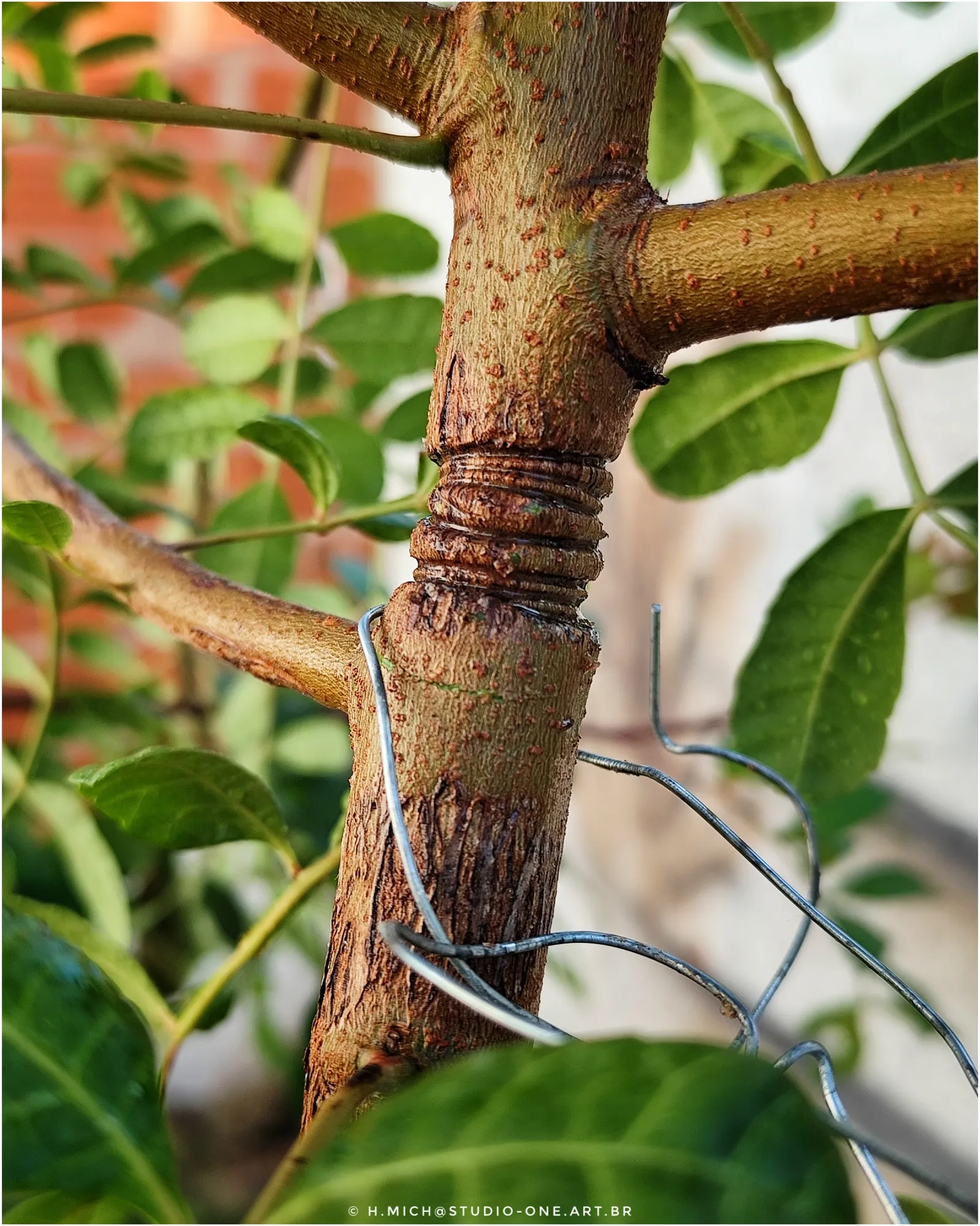 Photo Studio-One Repo (c)h.Mich@outlook.com