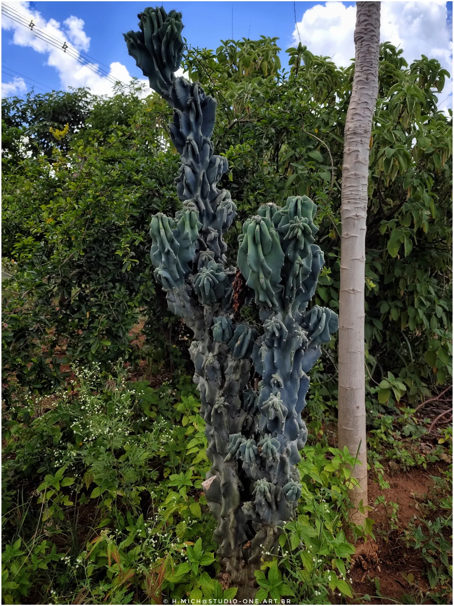 Photo Studio-One Repo (c)h.Mich@outlook.com