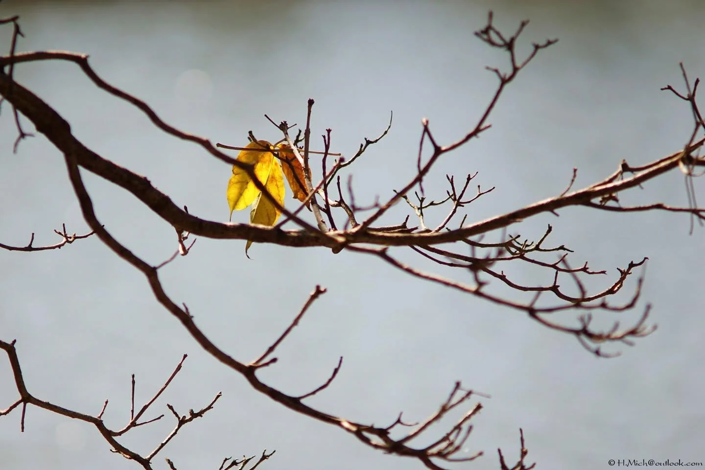 Photo Studio-One Repo (c)h.Mich@outlook.com