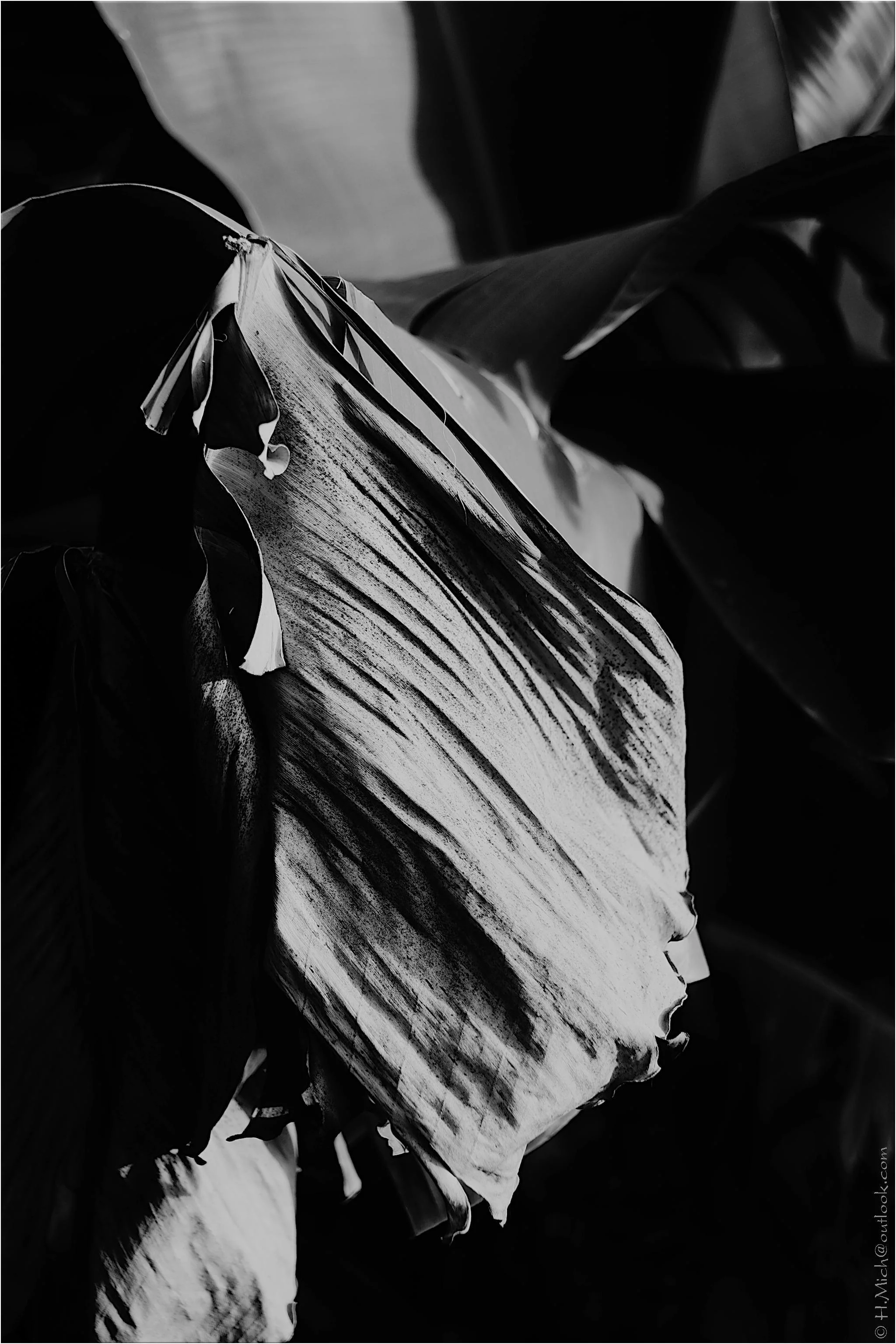 Photo Studio-One Repo (c)h.Mich@outlook.com