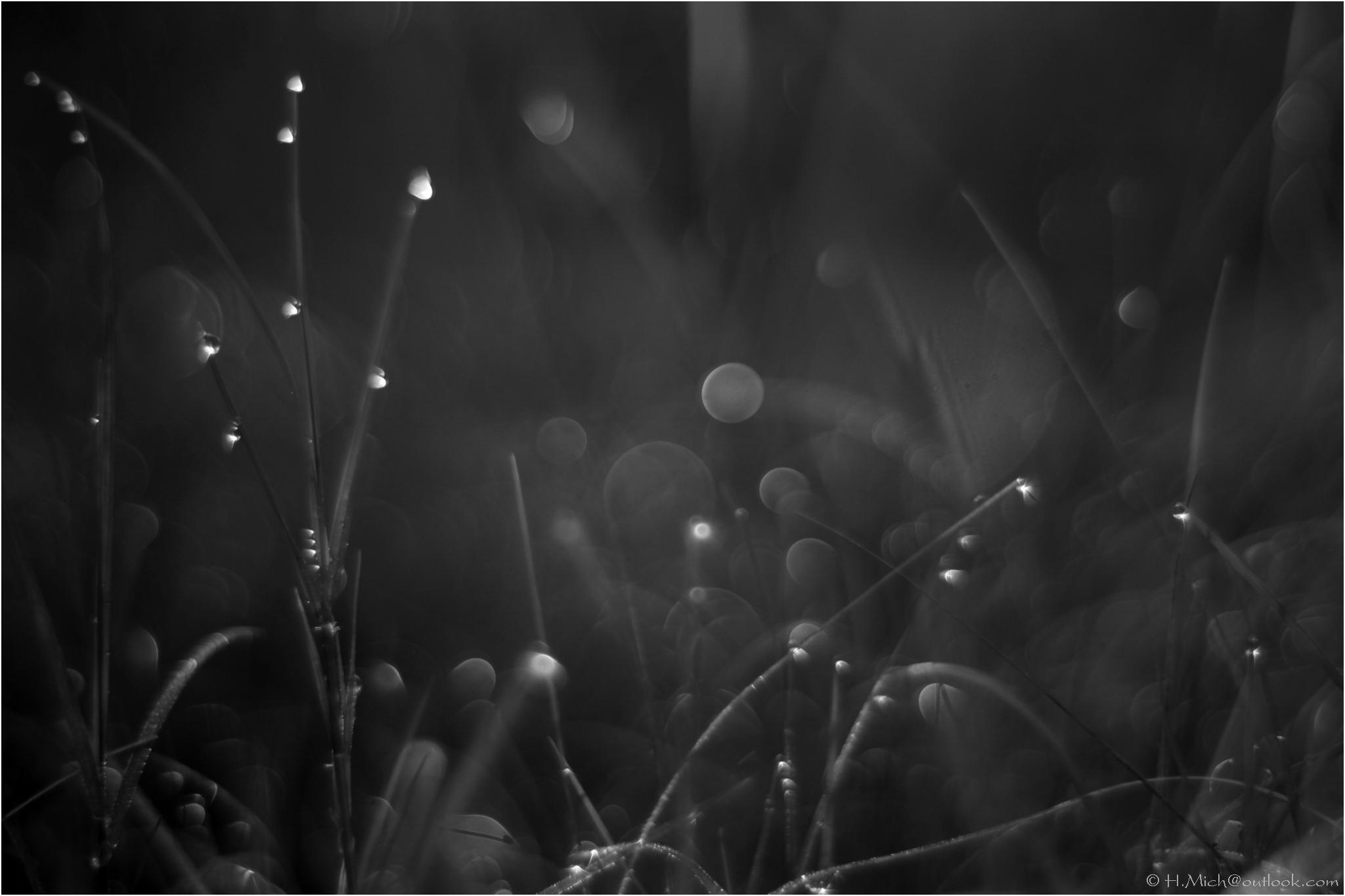 Photo Studio-One Repo (c)h.Mich@outlook.com