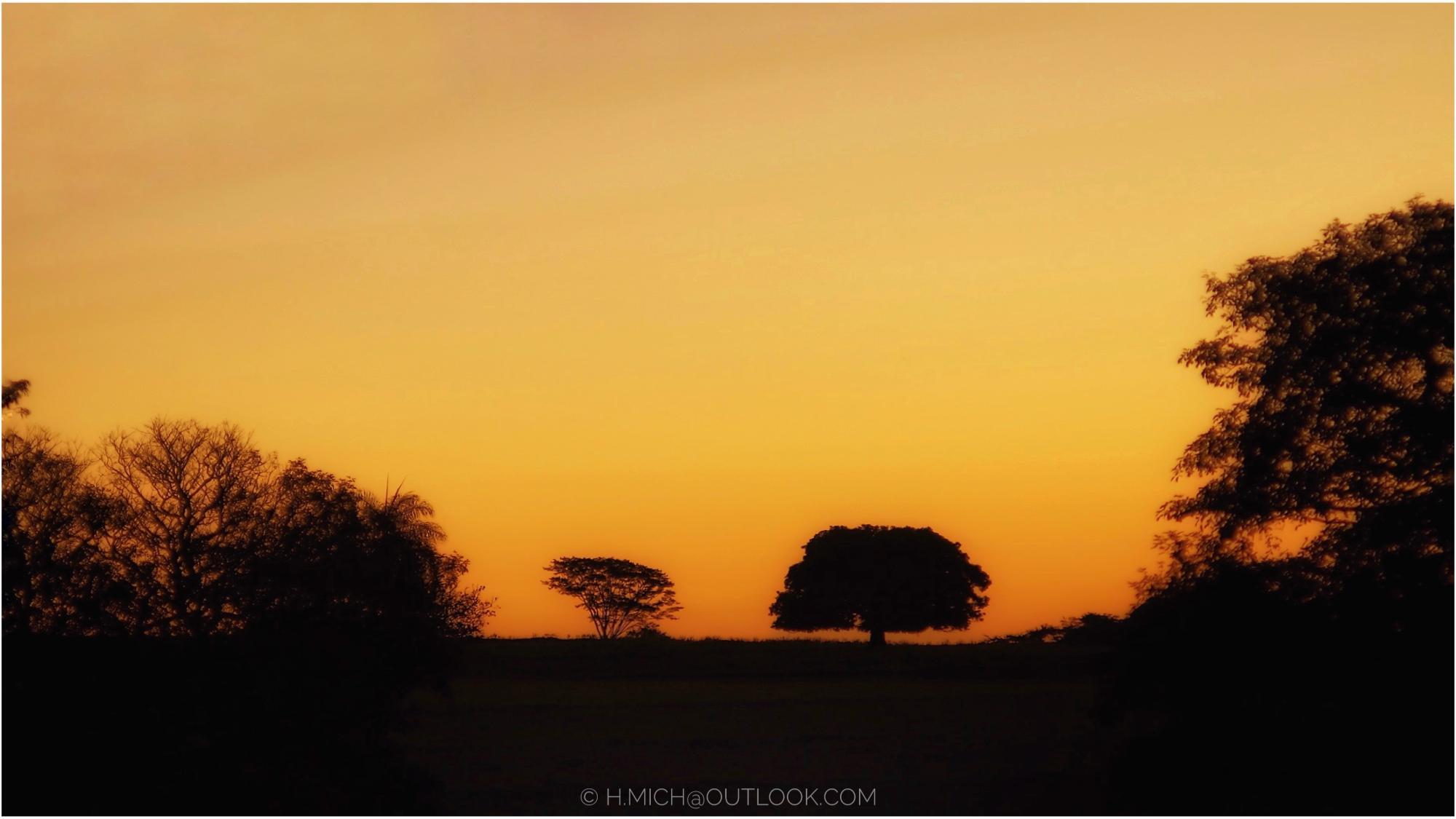 Photo Studio-One Top Model ©h.Mich@outlook.com