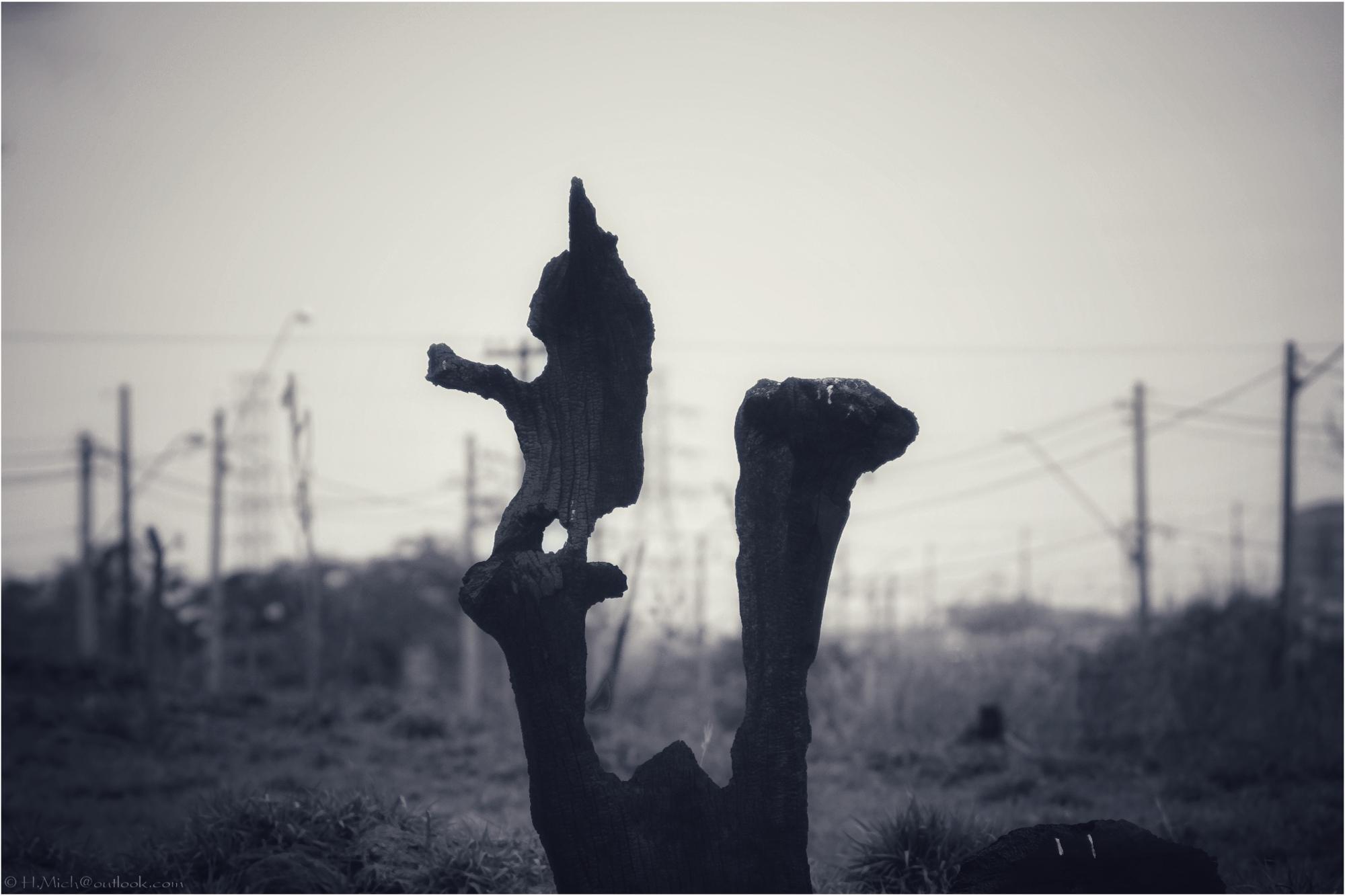 Photo Studio-One Top Model ©h.Mich@outlook.com