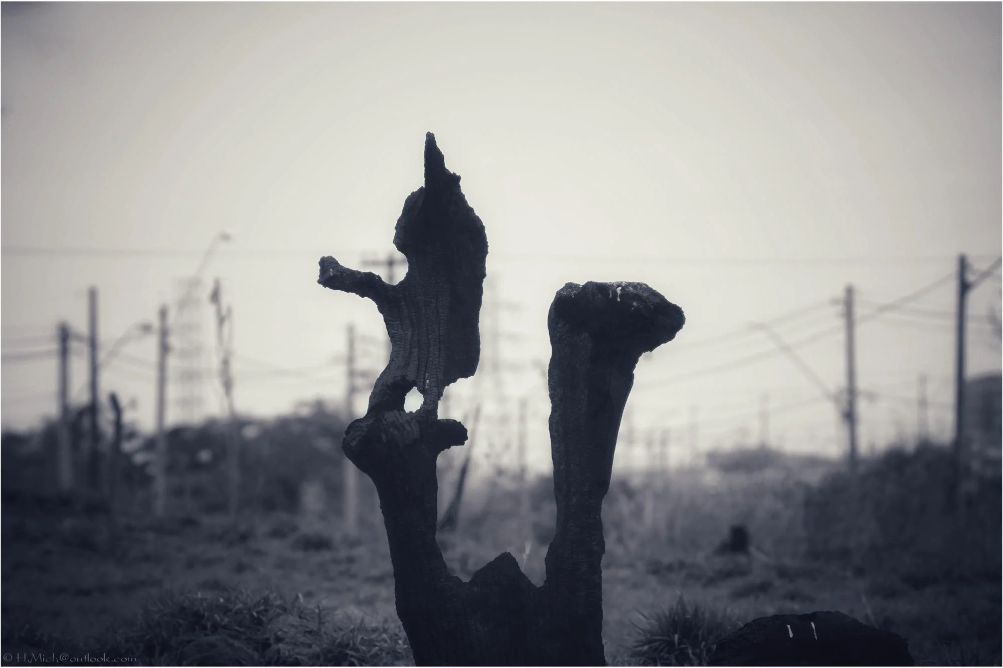 Photo Studio-One Top Model ©h.Mich@outlook.com