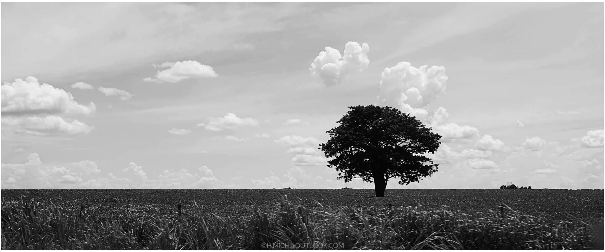 Photo Studio-One Top Model ©h.Mich@outlook.com